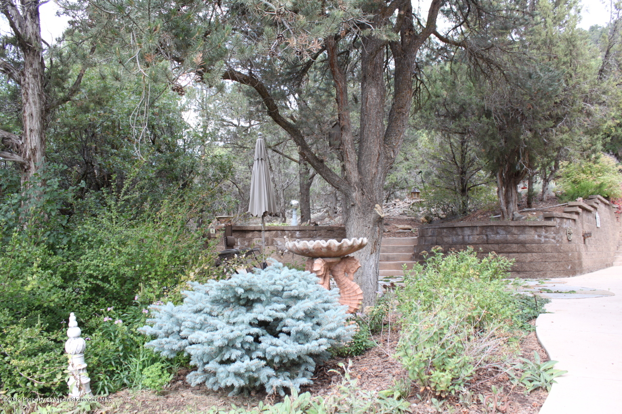 556 Black Bear Trail Carbondale CO 81623