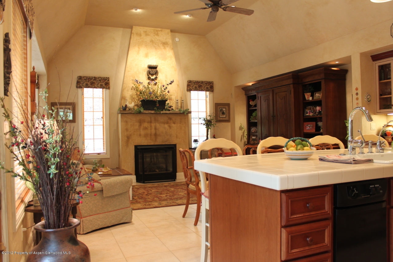 556 Black Bear Trail Carbondale CO 81623