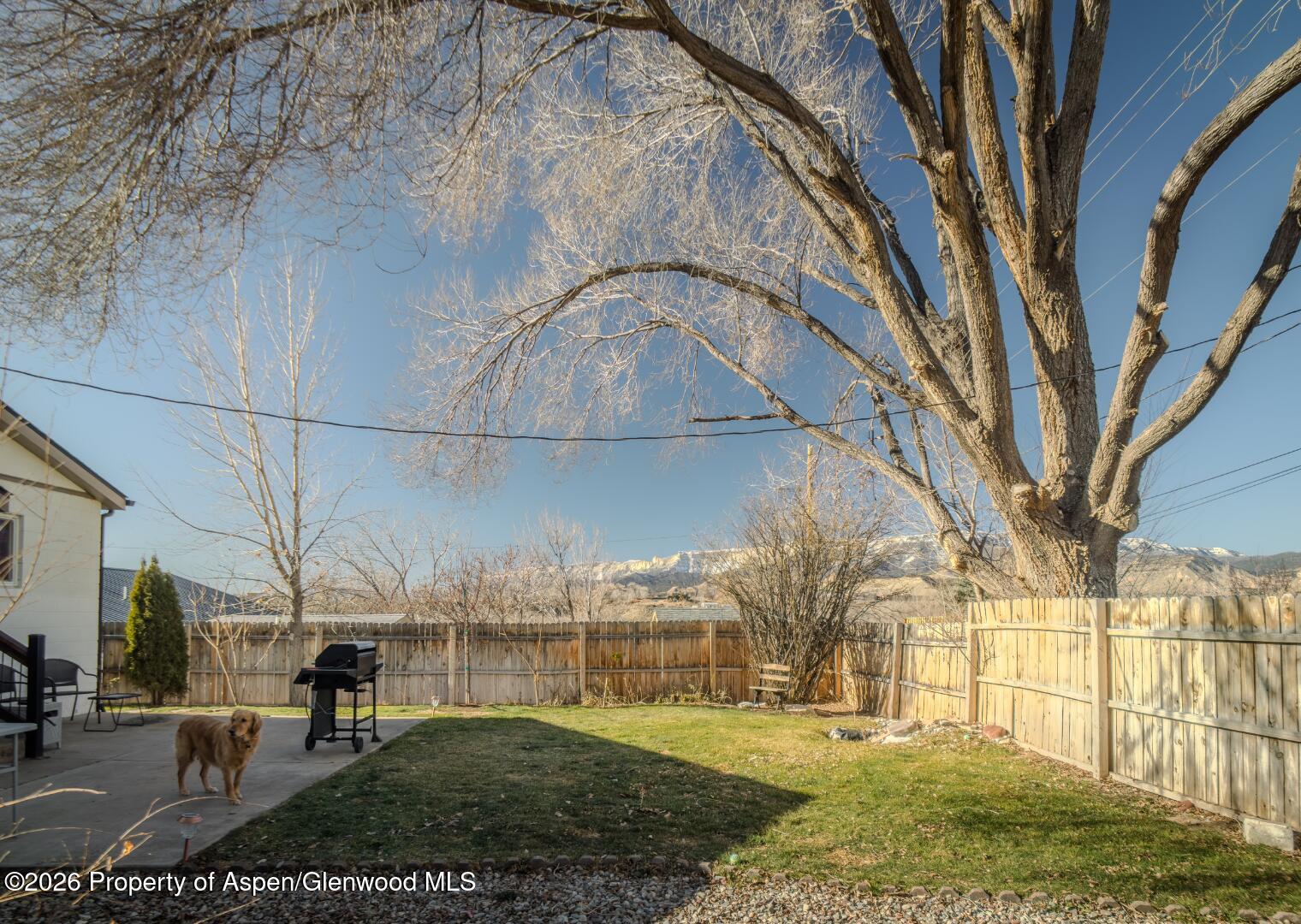 326 E 10th Street Rifle CO 81650