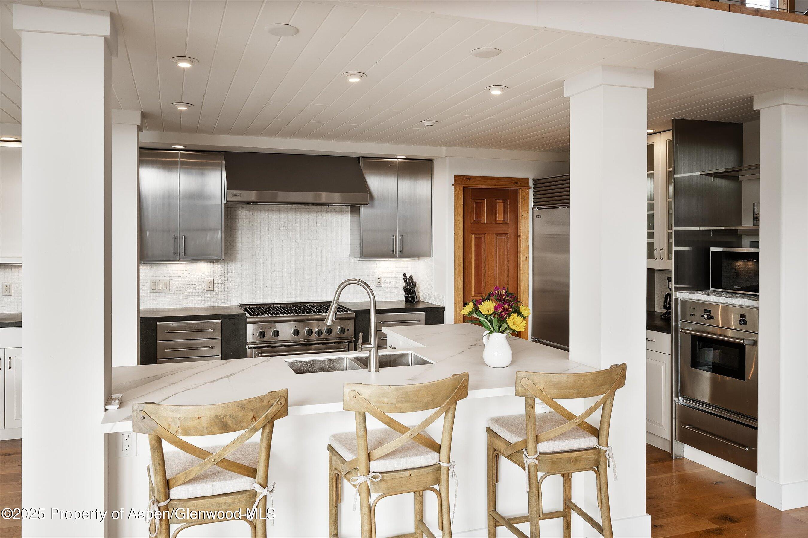 19 Mule Deer Run Snowmass CO 81654