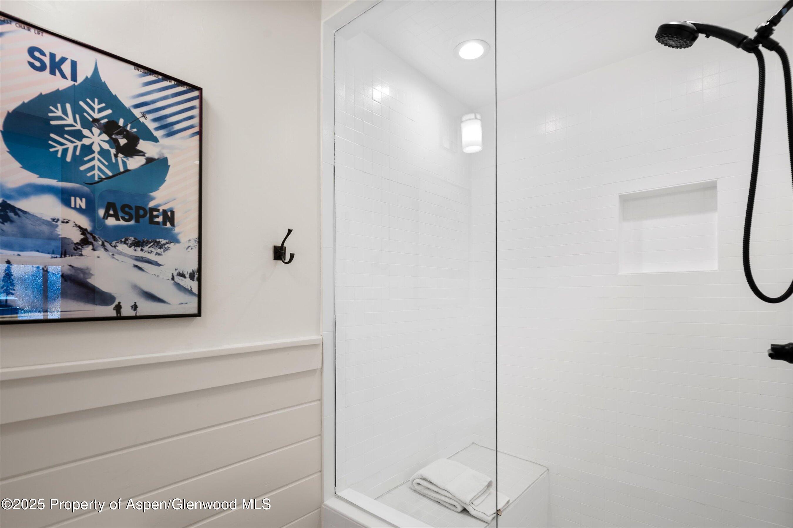 19 Mule Deer Run Snowmass CO 81654