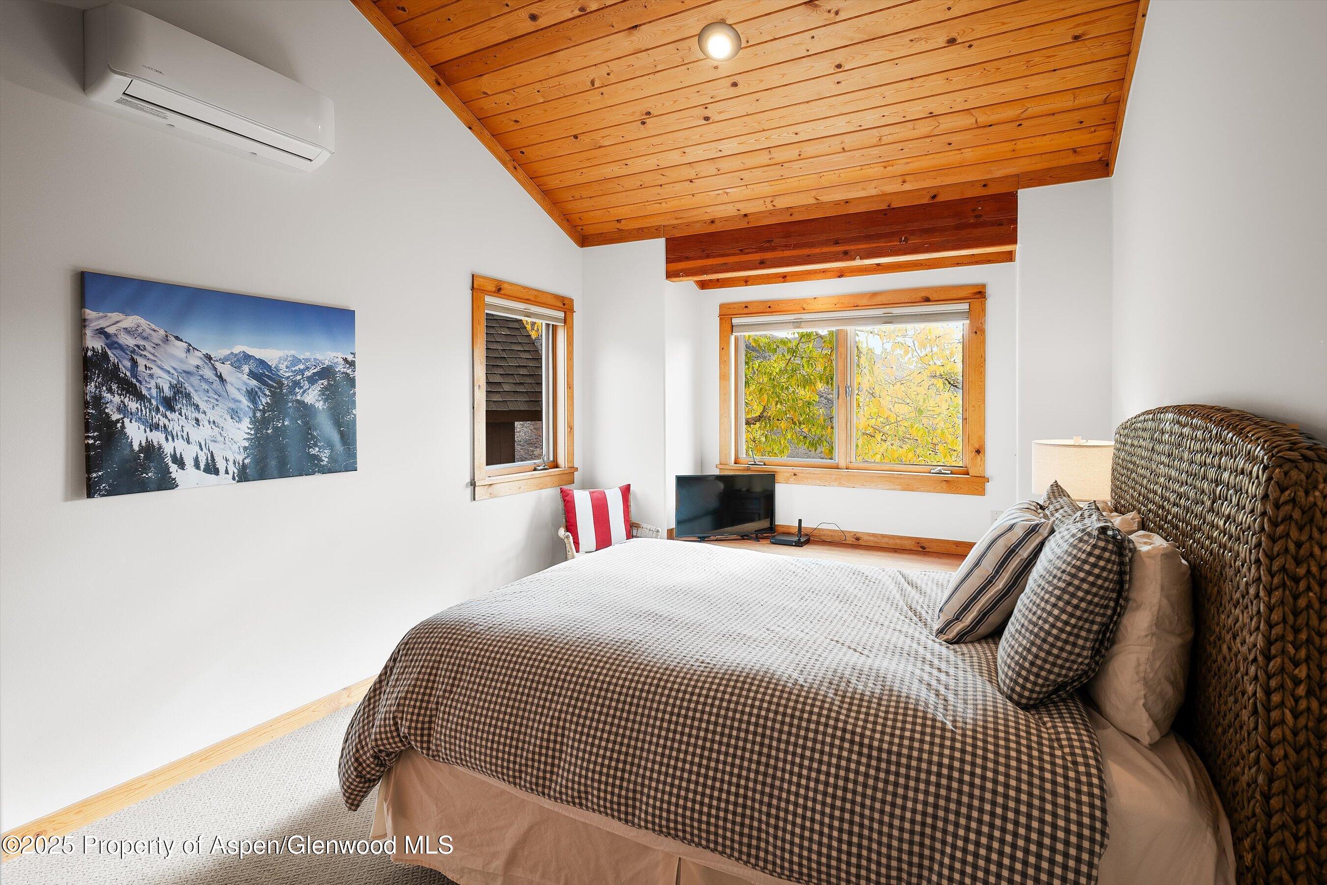 19 Mule Deer Run Snowmass CO 81654