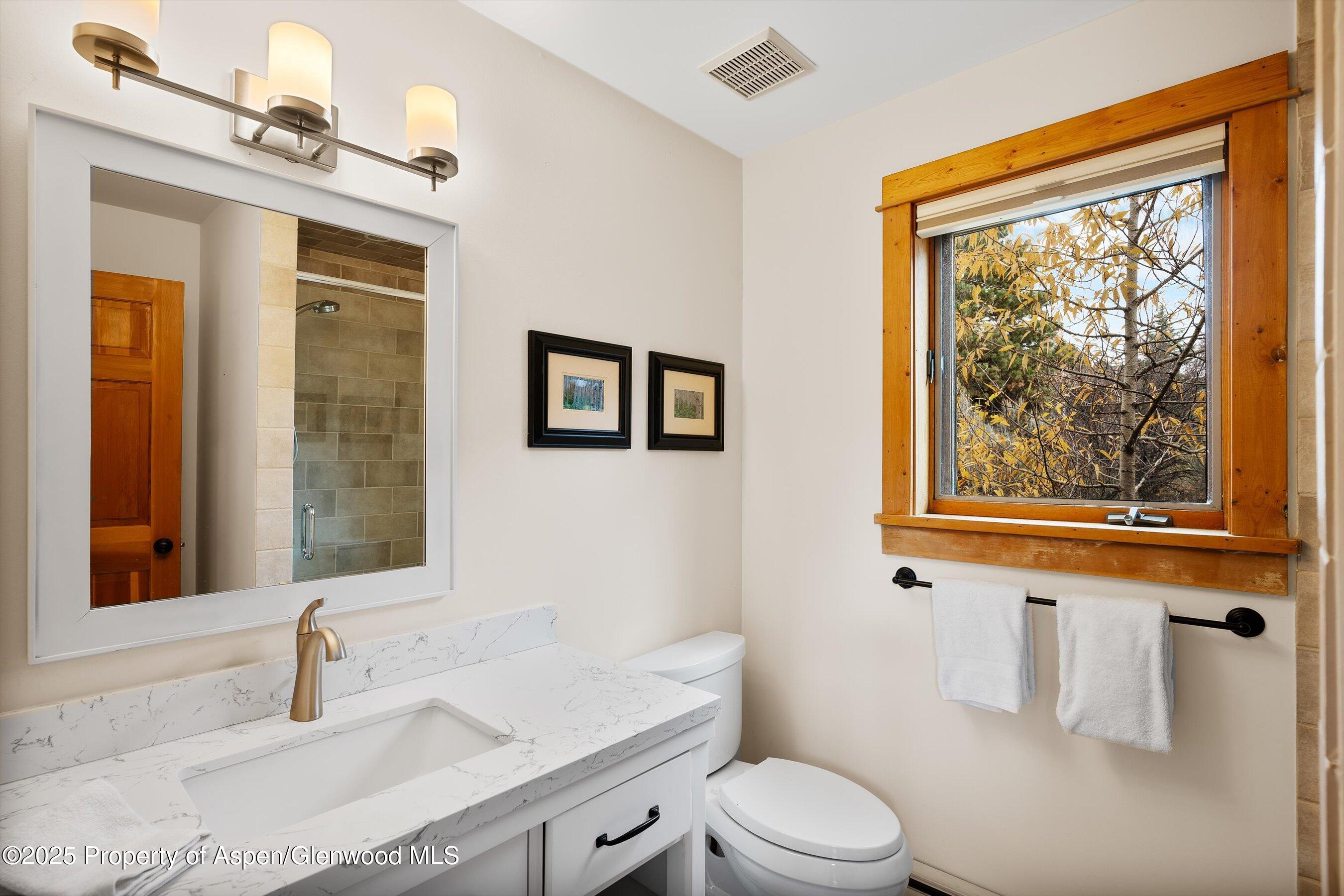 19 Mule Deer Run Snowmass CO 81654