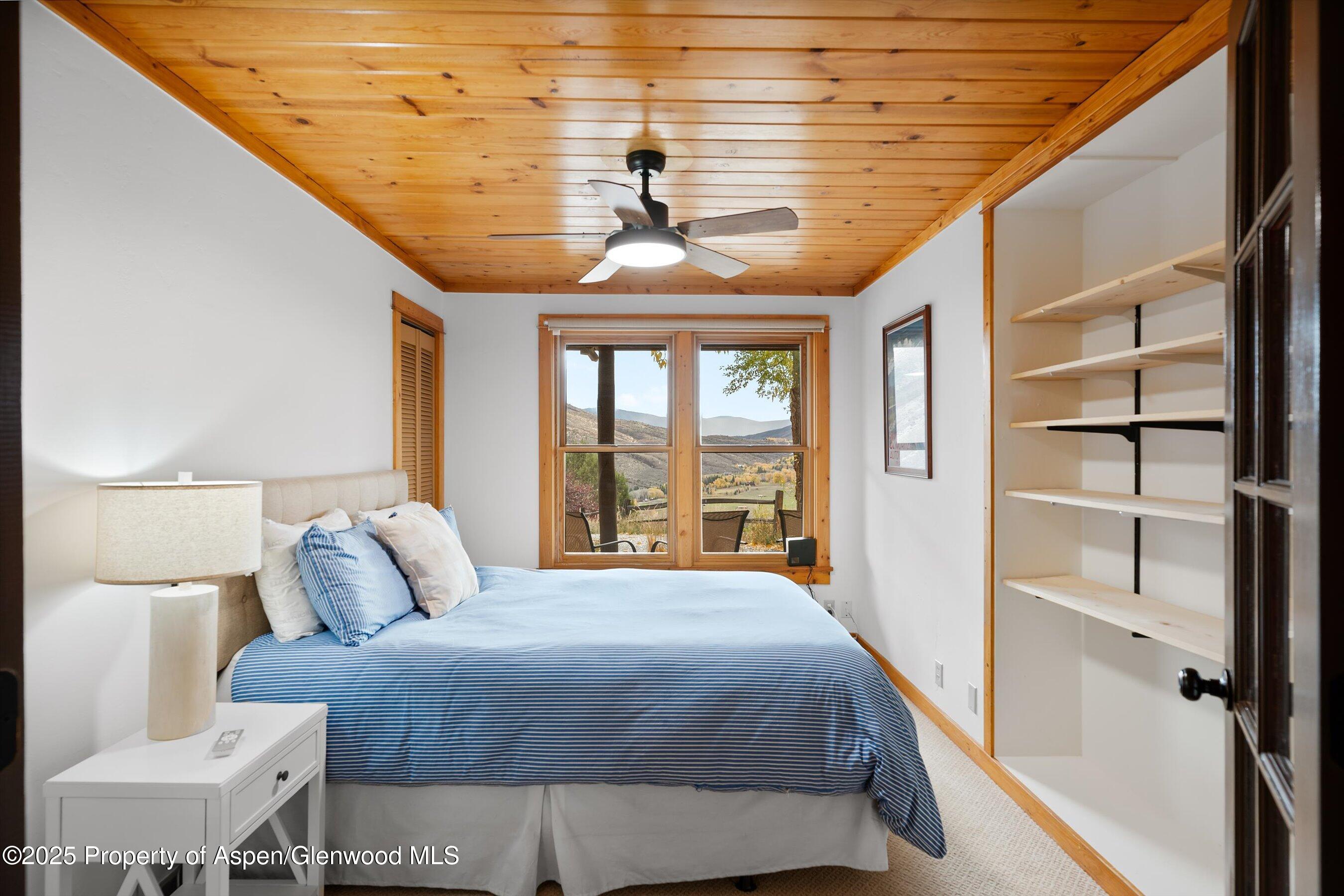 19 Mule Deer Run Snowmass CO 81654