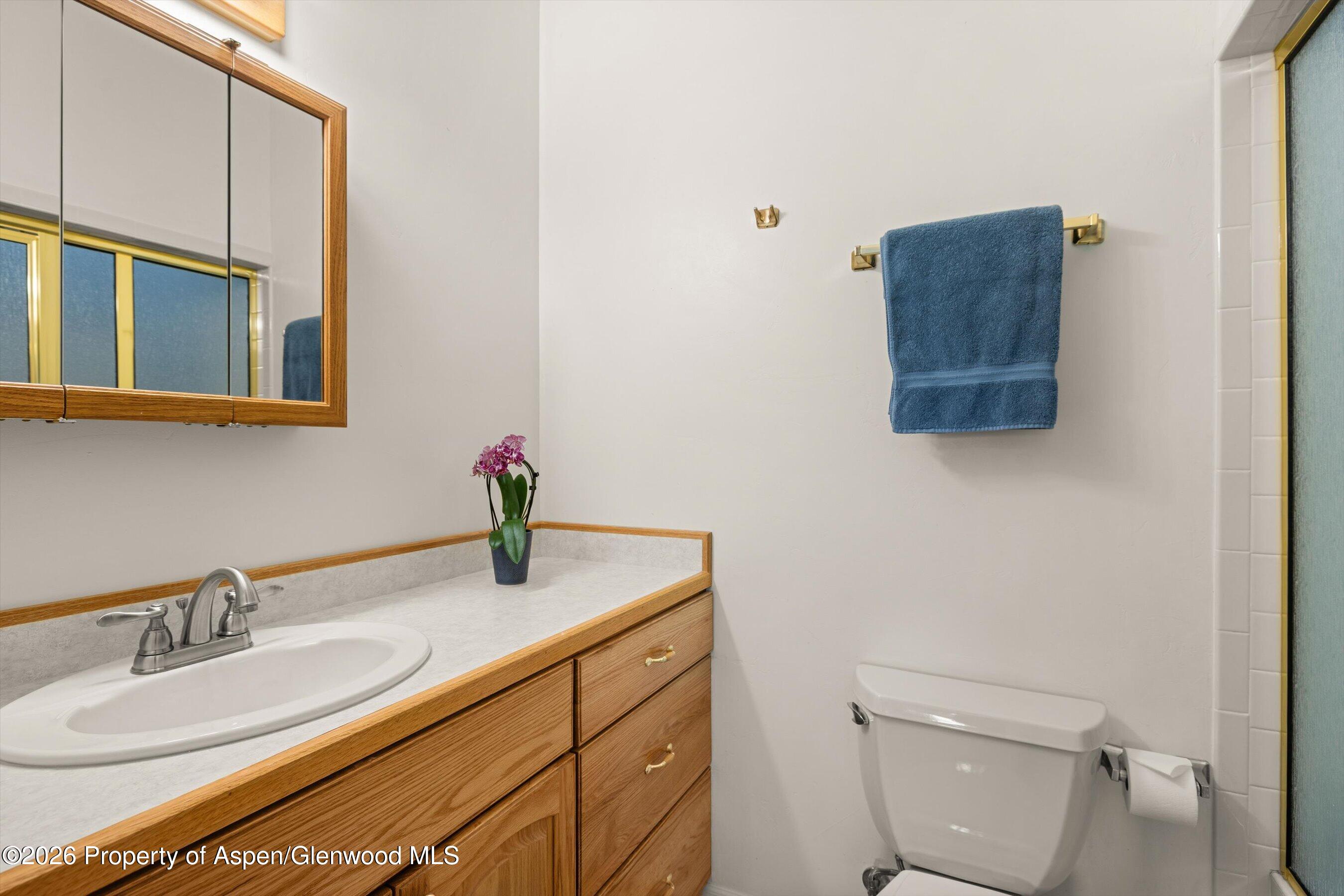 6135 County Road 109 Carbondale CO 81623