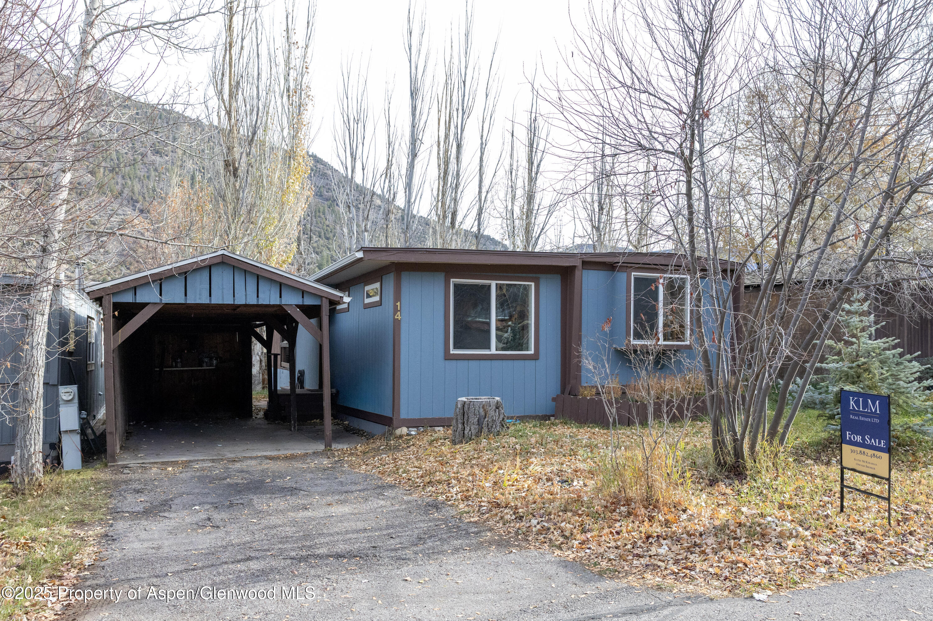 Aspen CO, 14 Bear Trail