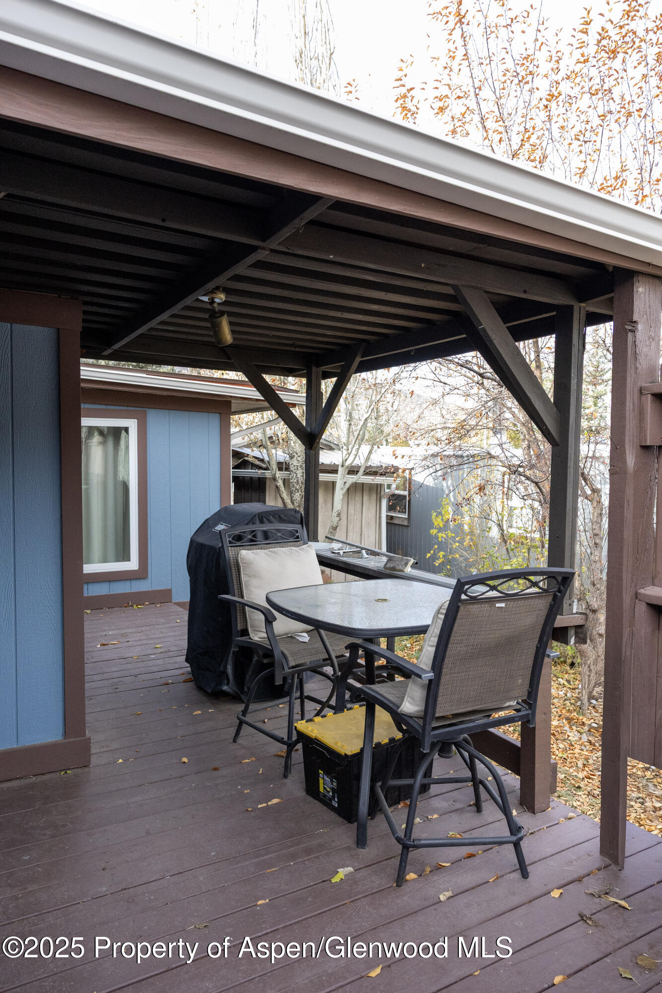 14 Bear Trail Aspen CO 81611