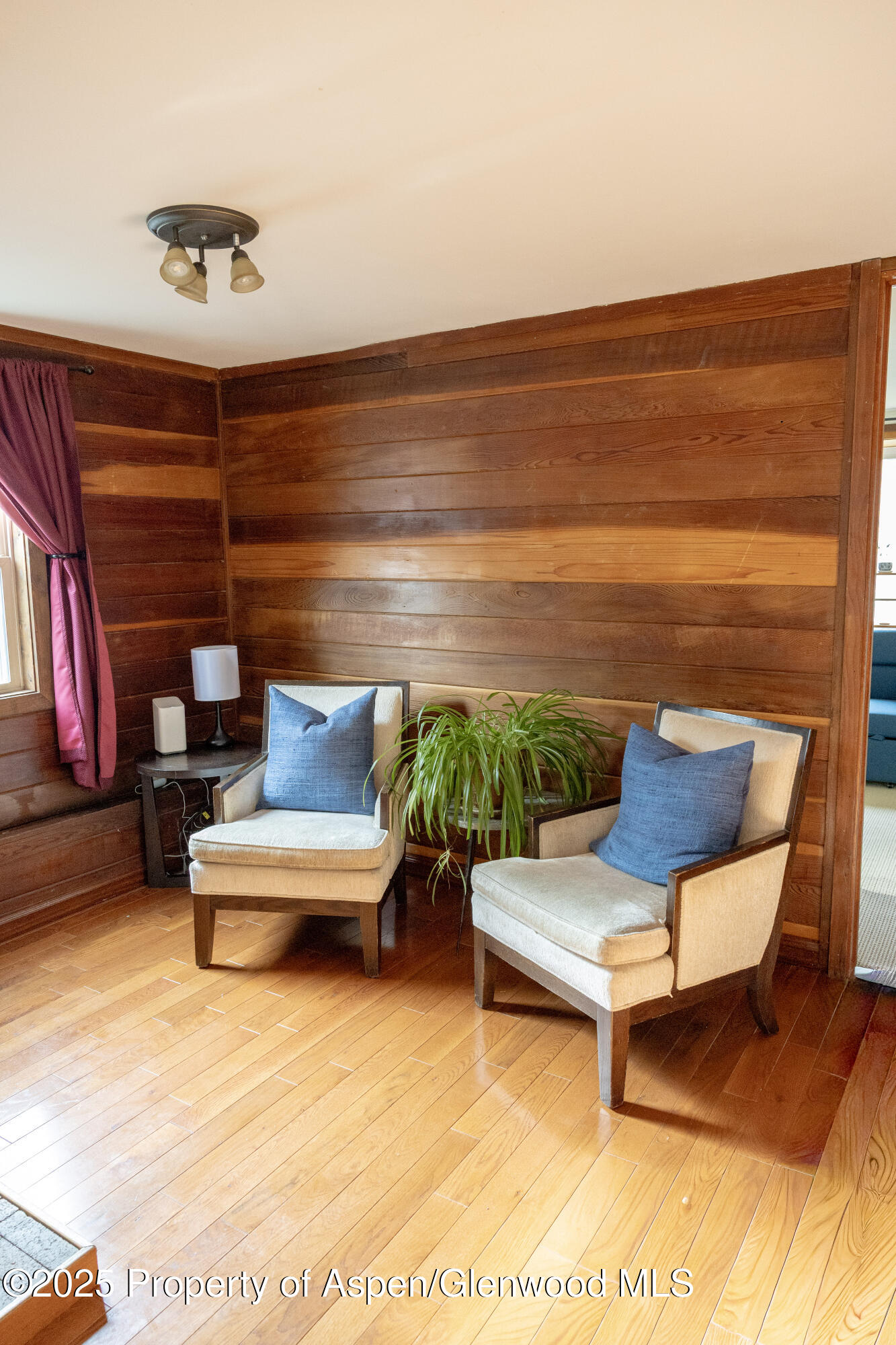 14 Bear Trail Aspen CO 81611