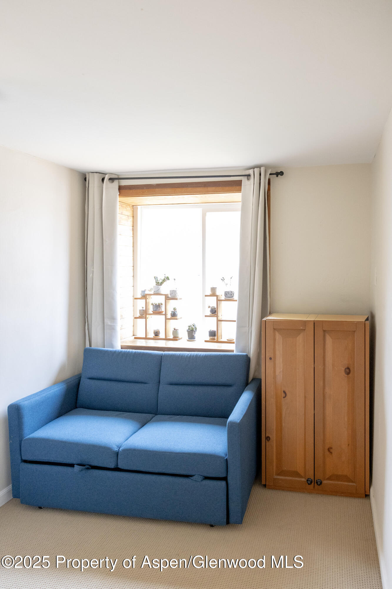 14 Bear Trail Aspen CO 81611