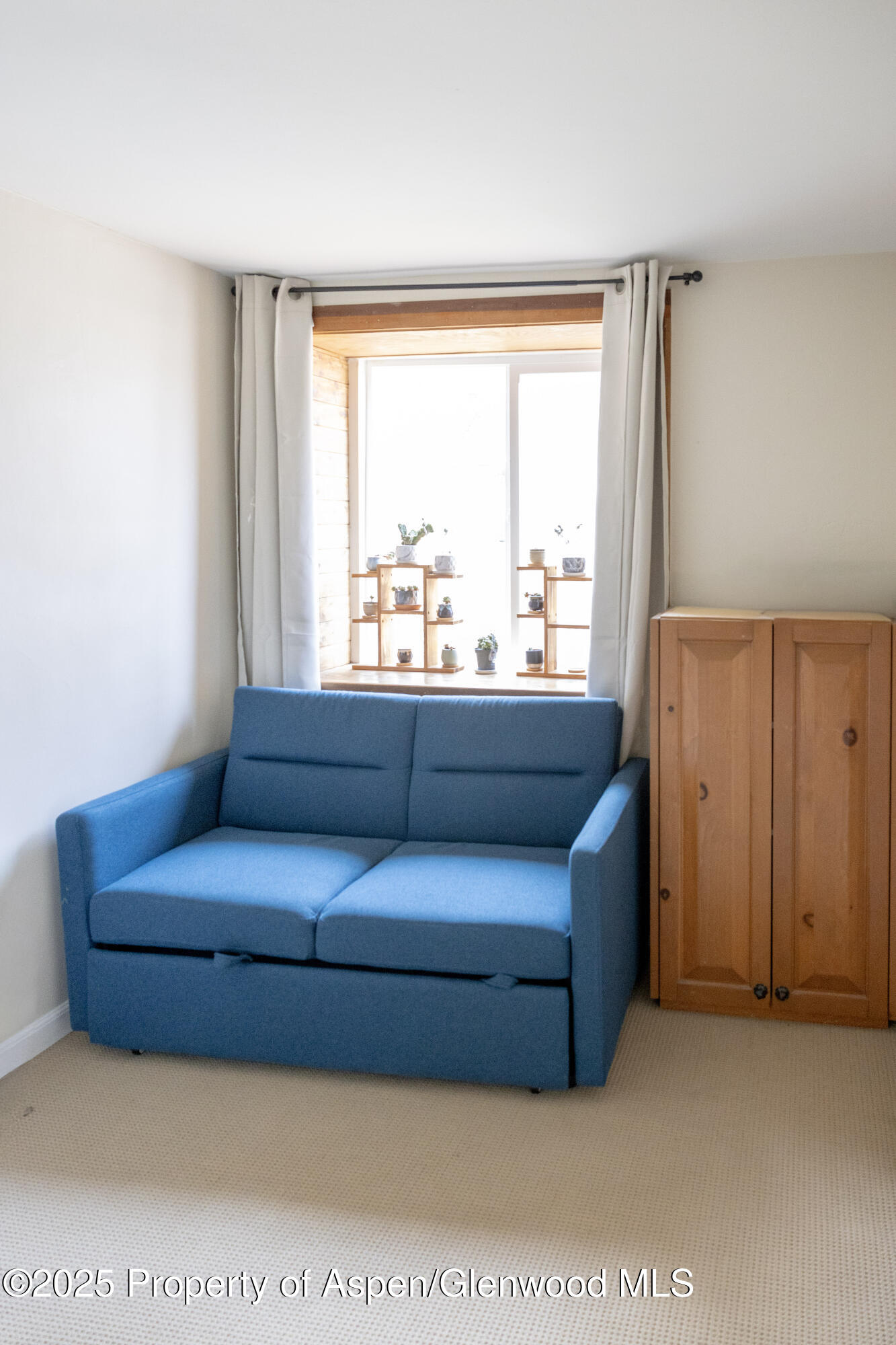 14 Bear Trail Aspen CO 81611