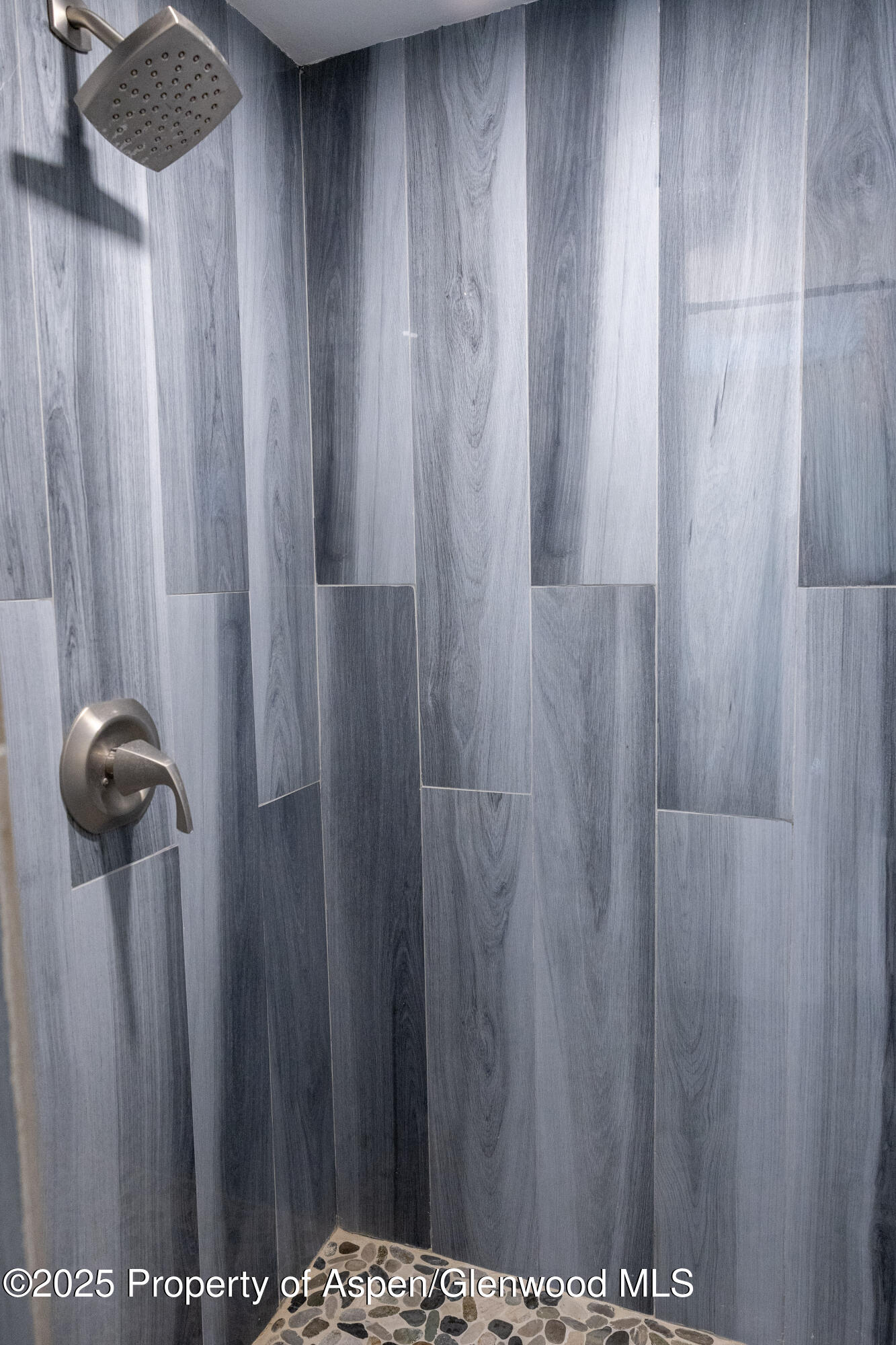 14 Bear Trail Aspen CO 81611