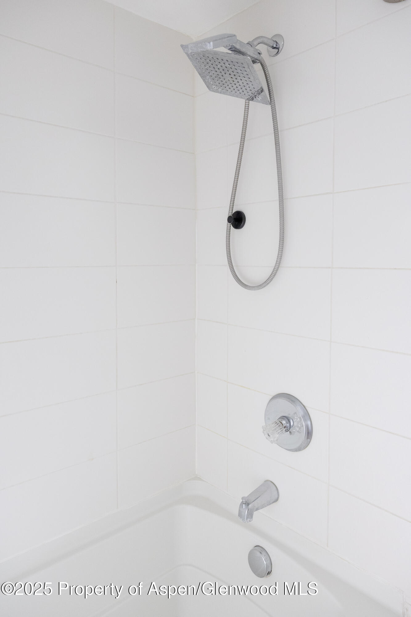 14 Bear Trail Aspen CO 81611