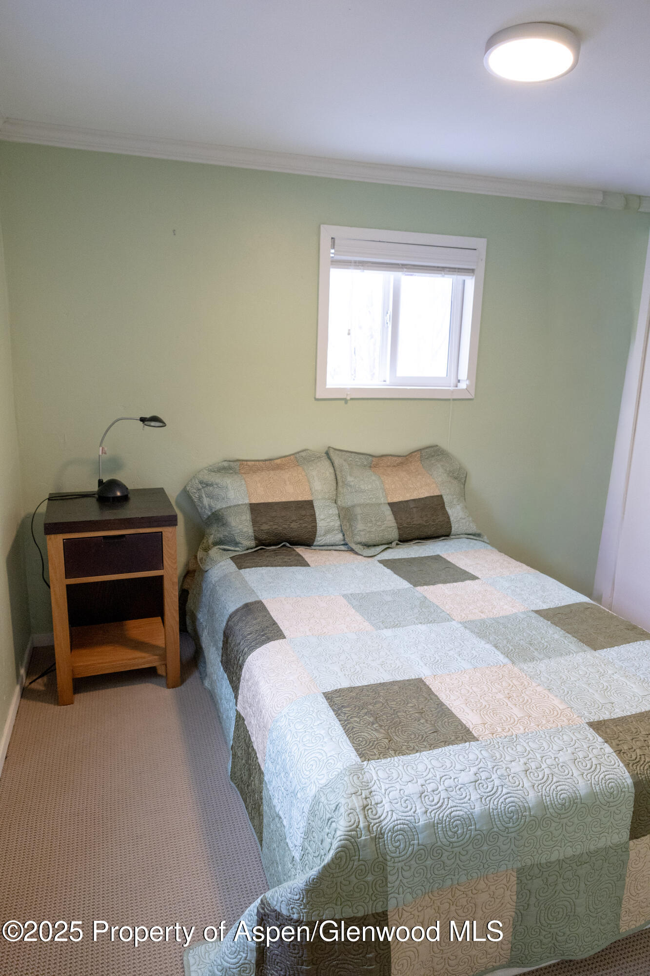 14 Bear Trail Aspen CO 81611