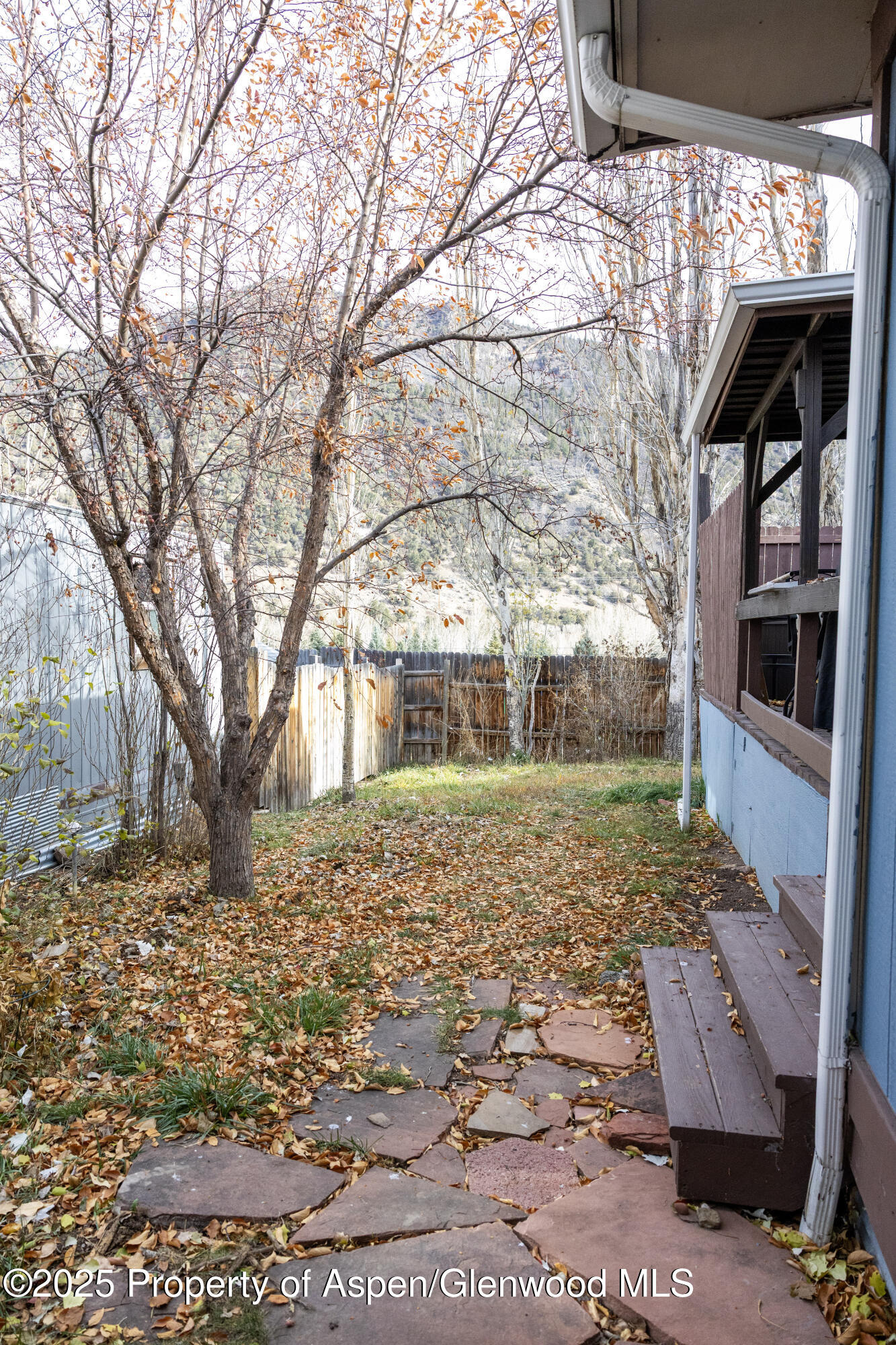 14 Bear Trail Aspen CO 81611