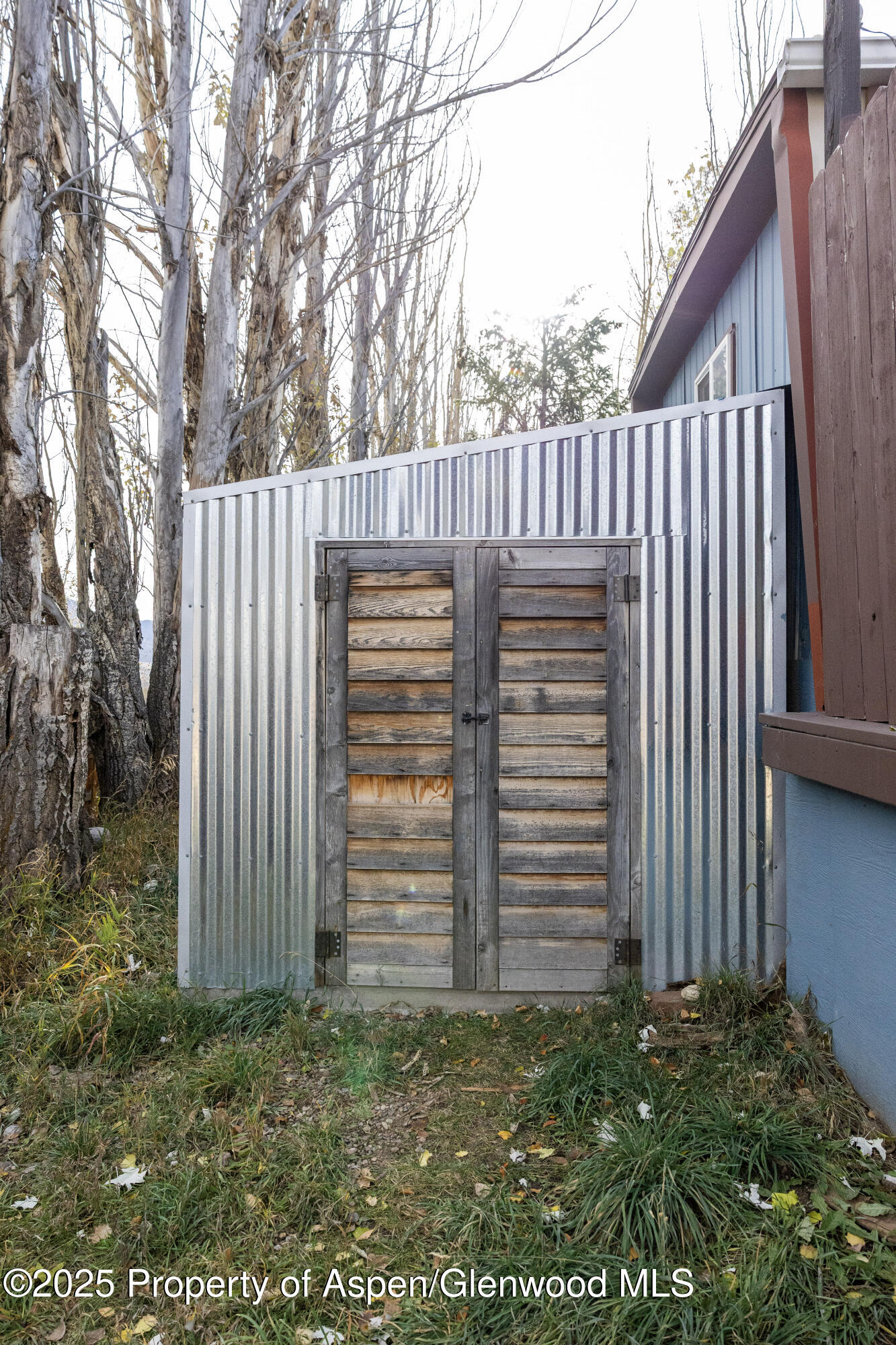 14 Bear Trail Aspen CO 81611