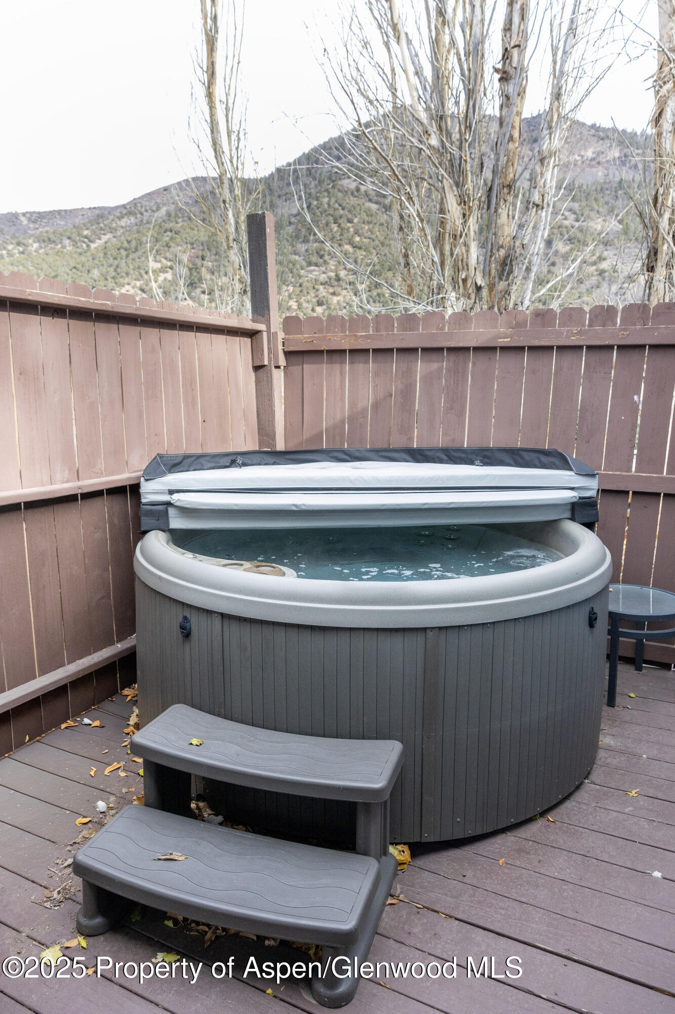 14 Bear Trail Aspen CO 81611