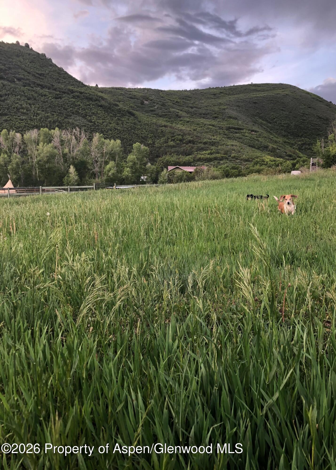 360 W Sopris Creek Road Carbondale CO 81623