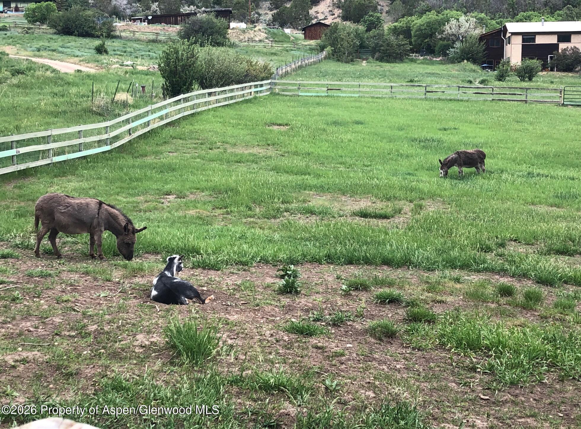 360 W Sopris Creek Road Carbondale CO 81623