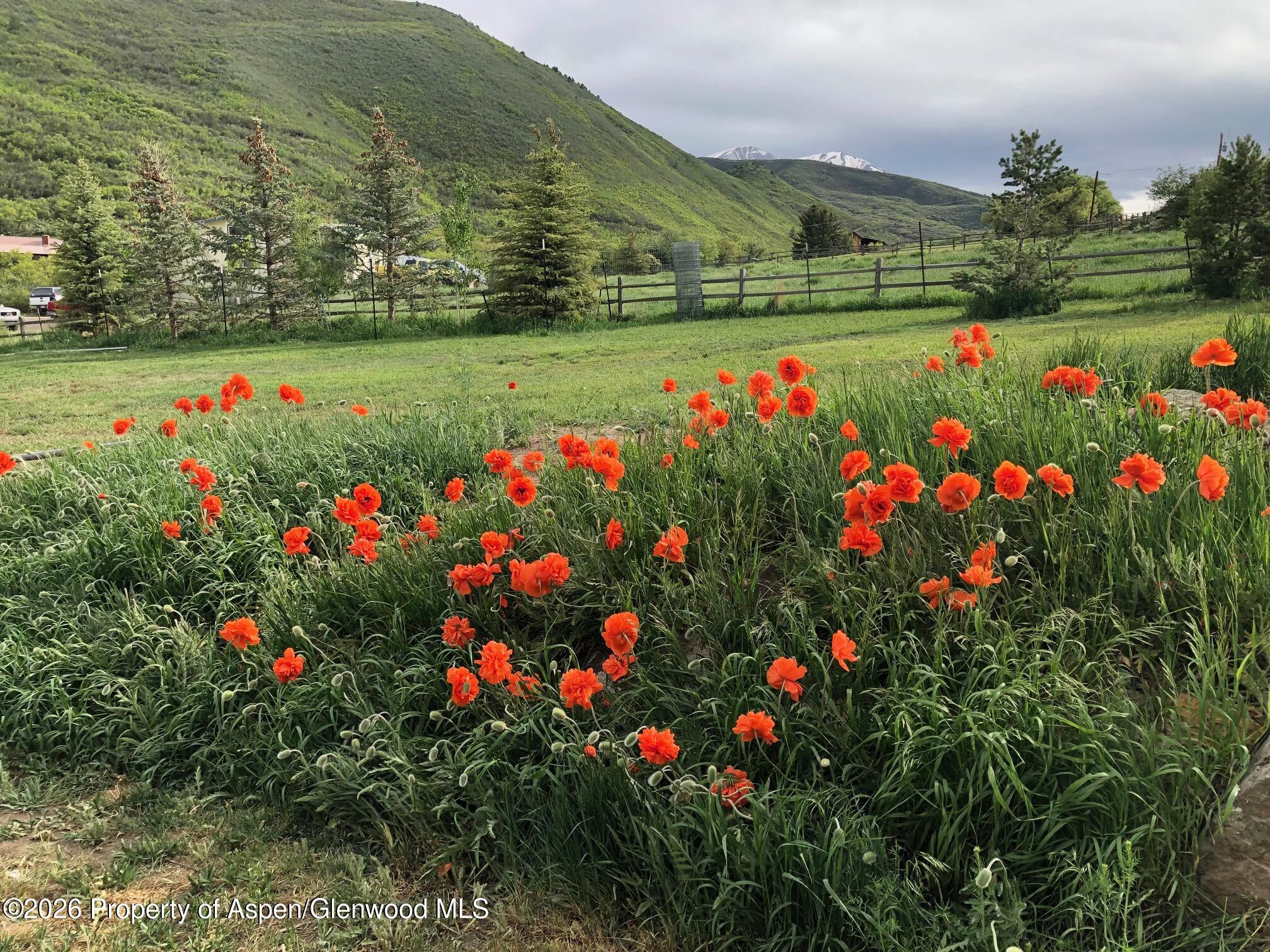 360 W Sopris Creek Road Carbondale CO 81623