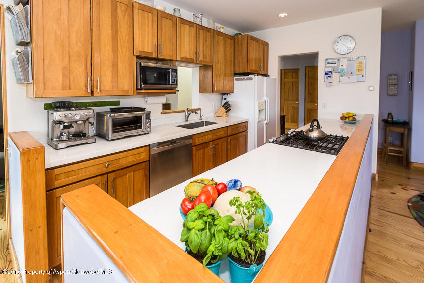 1459 County Road 102 Carbondale CO 81623