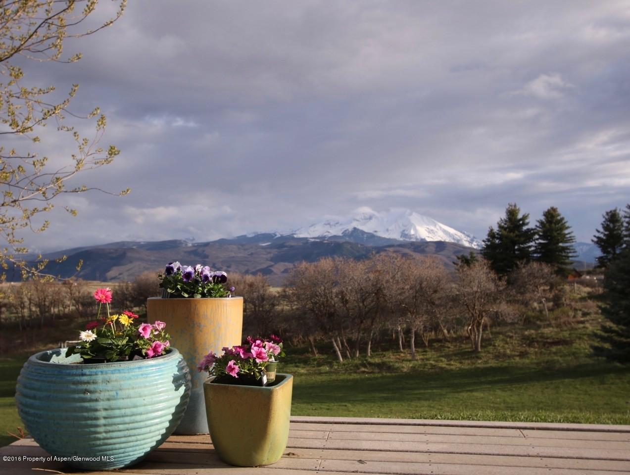 1459 County Road 102 Carbondale CO 81623