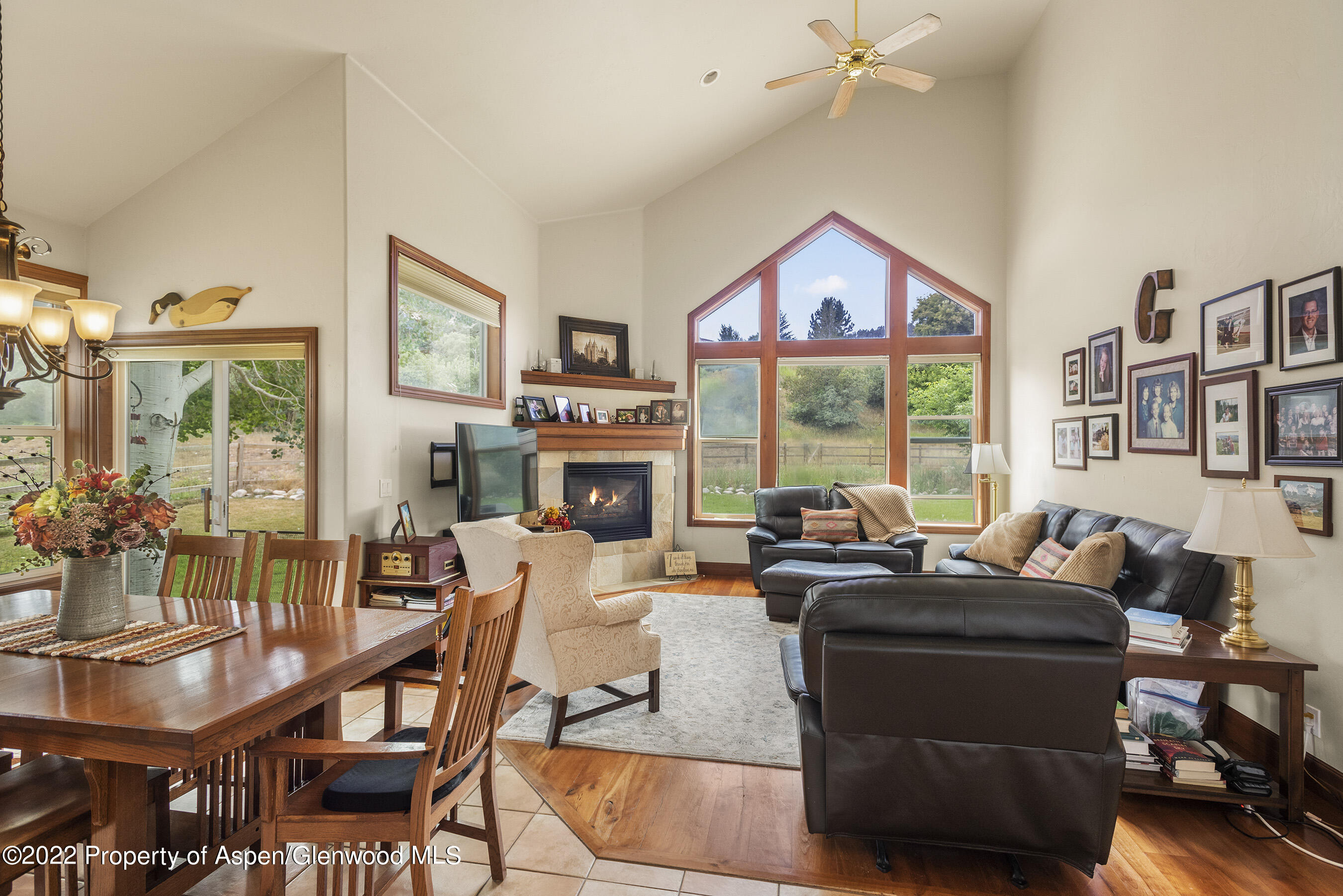 130 Shadowood Lane Carbondale CO 81623