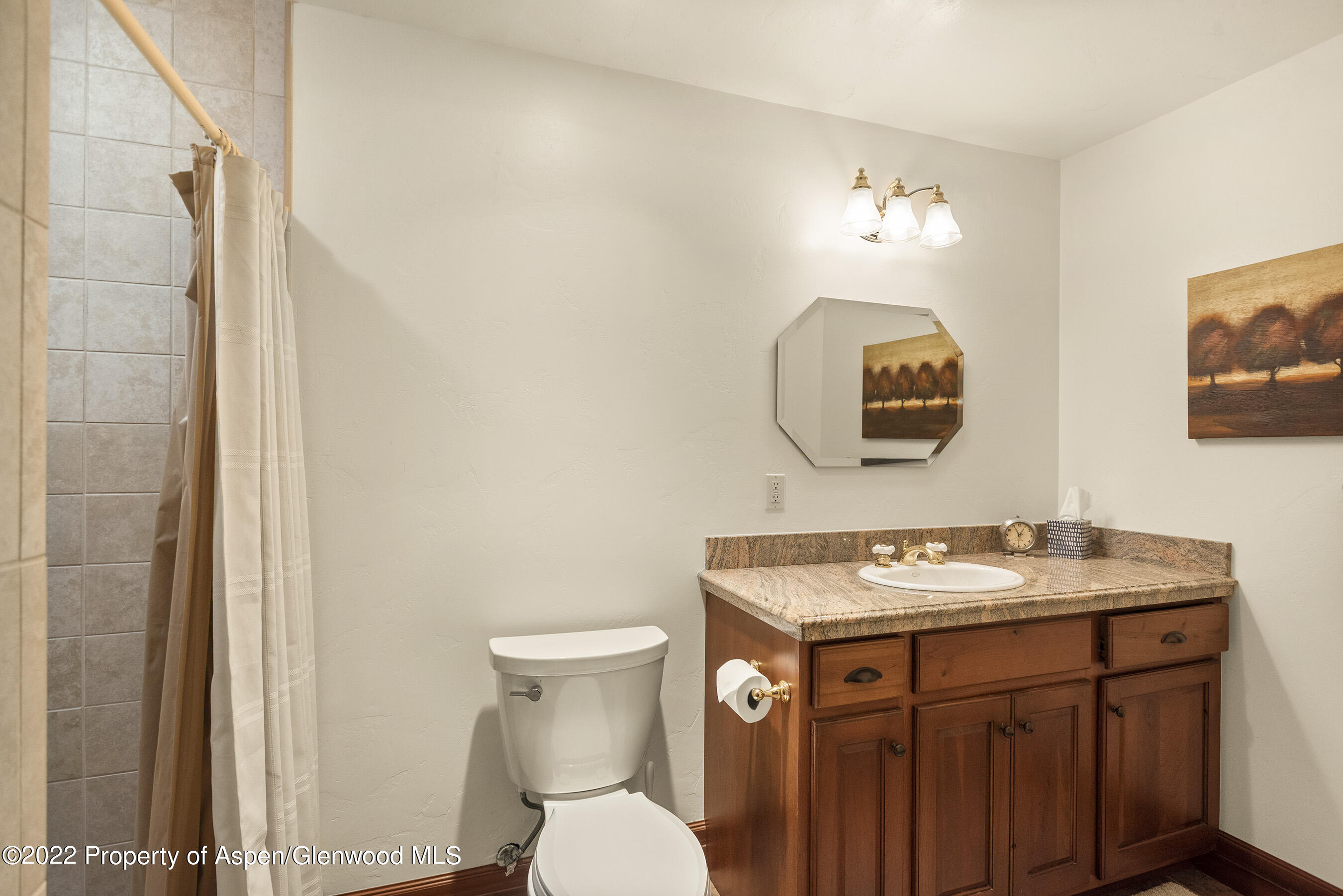 130 Shadowood Lane Carbondale CO 81623