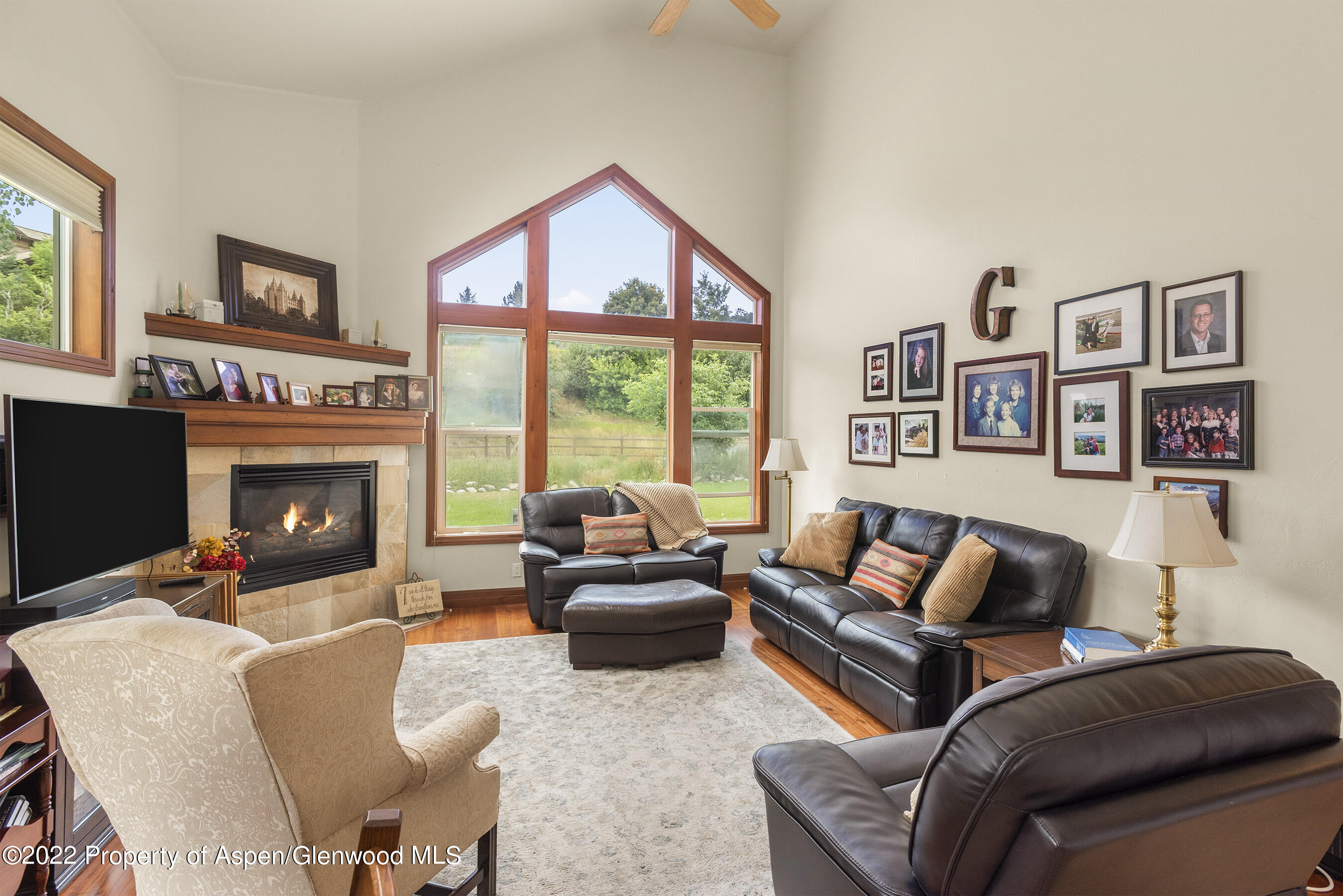 130 Shadowood Lane Carbondale CO 81623