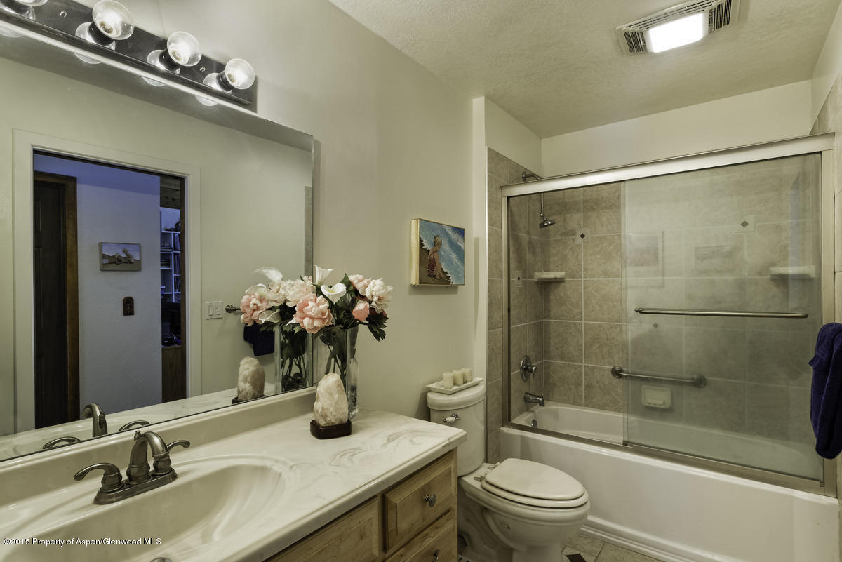 315 Riverside Drive Basalt CO 81621