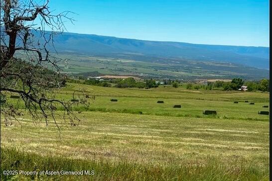 18726 Kimball Creek Road Collbran CO 81624