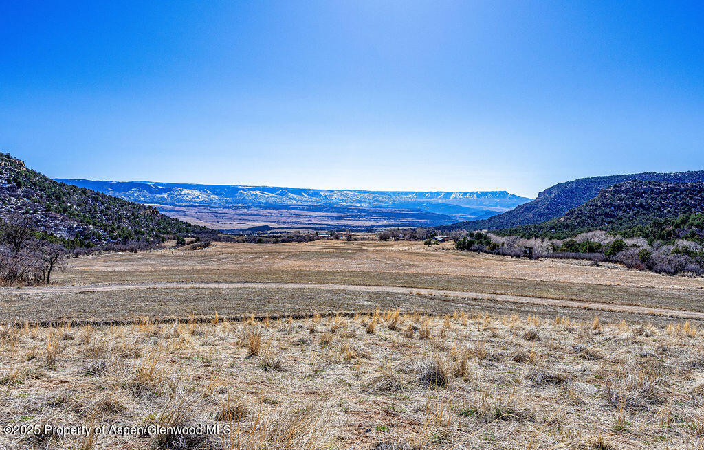18726 Kimball Creek Road Collbran CO 81624