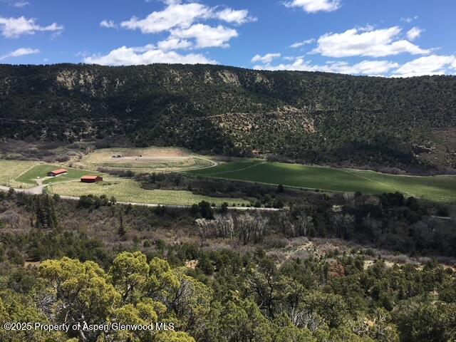 18726 Kimball Creek Road Collbran CO 81624