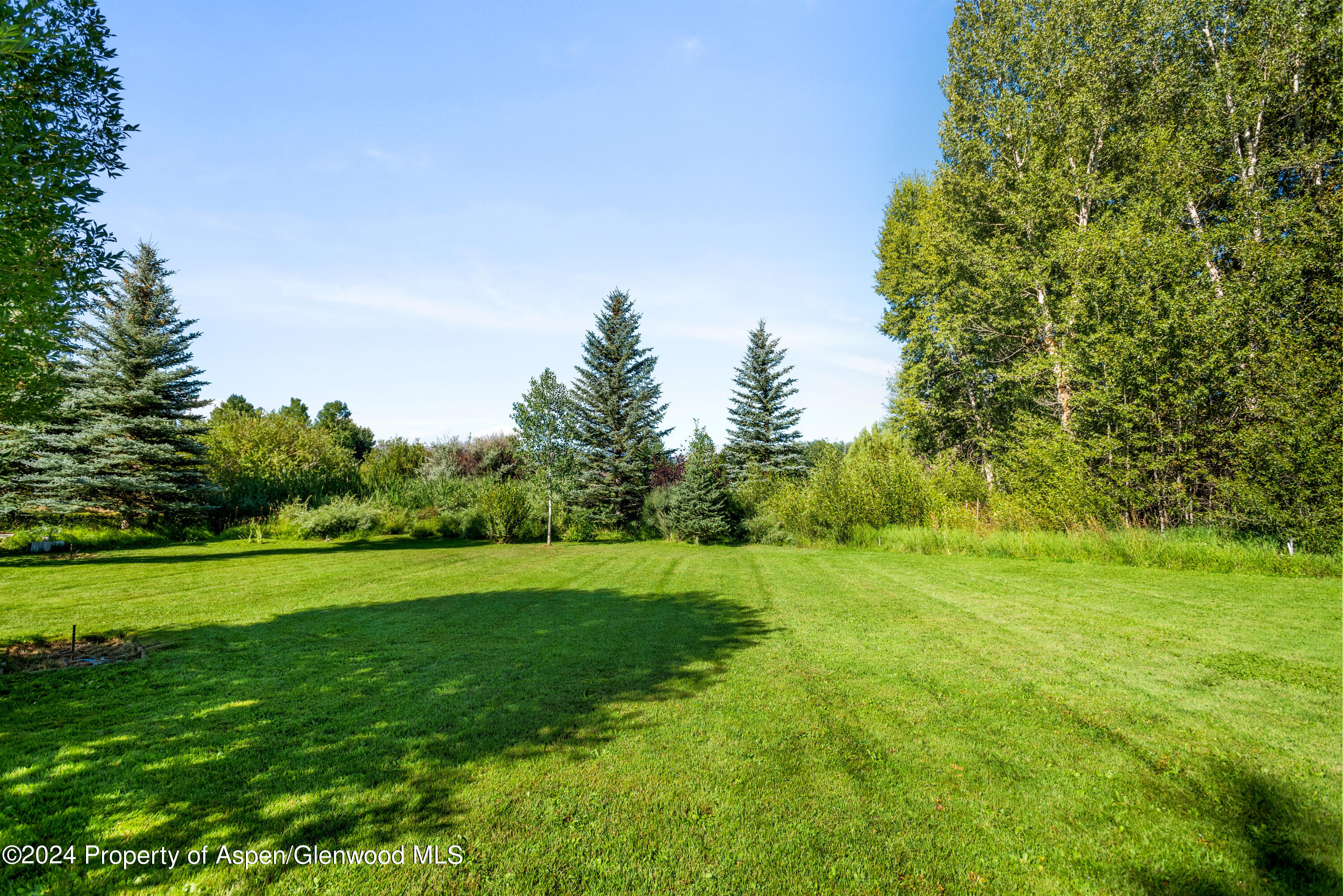 271 Little Elk Creek Avenue Snowmass CO 81654