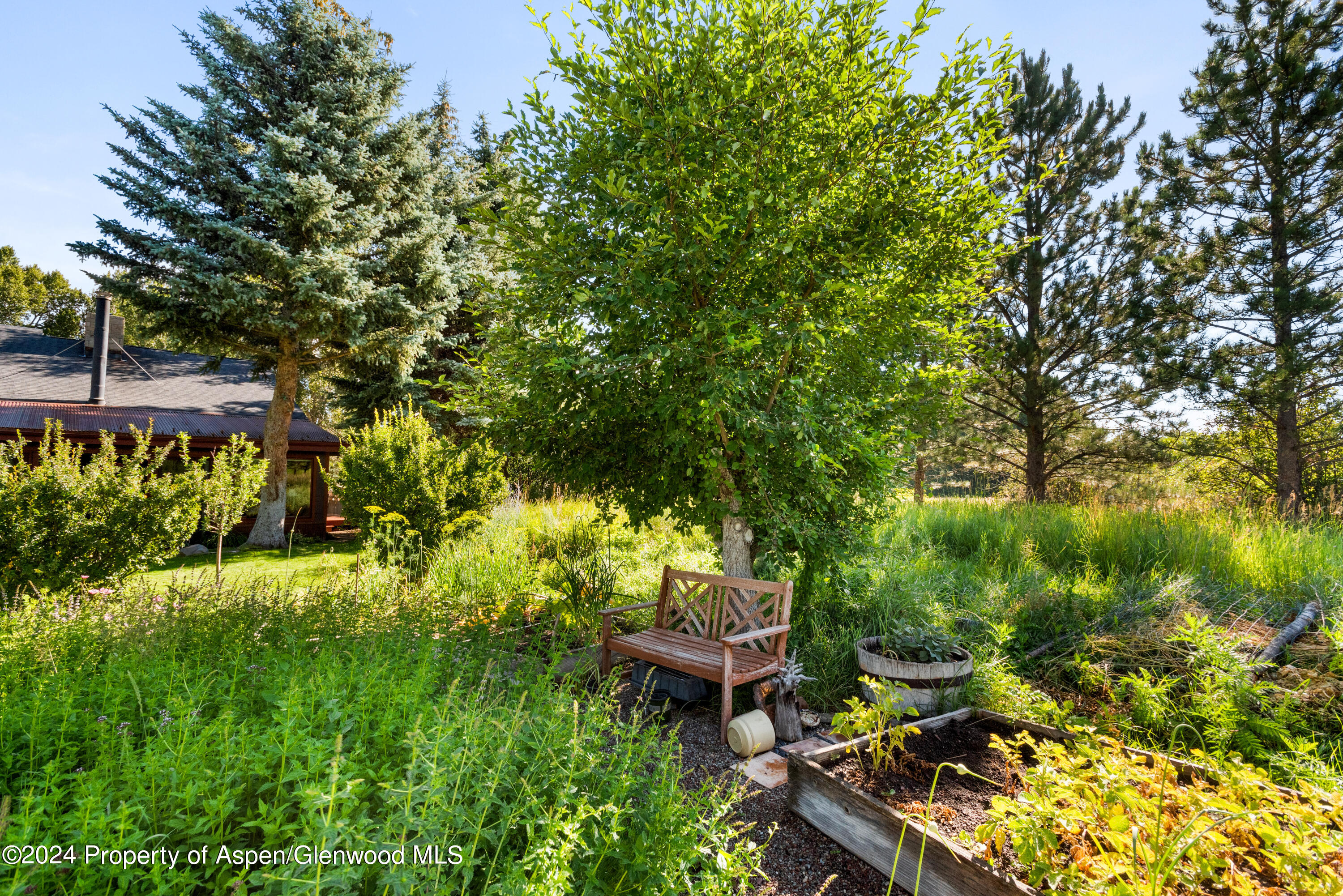 271 Little Elk Creek Avenue Snowmass CO 81654