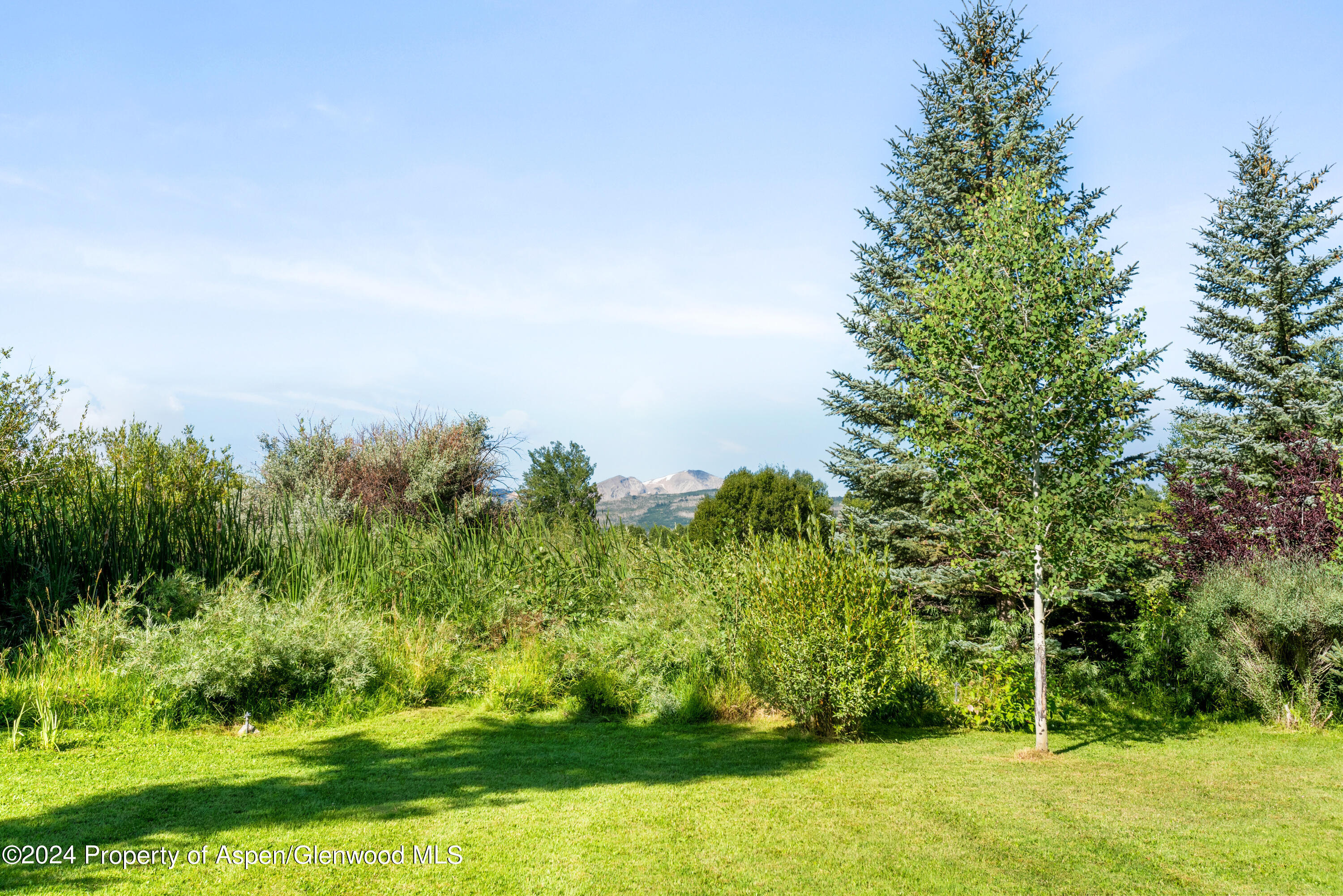 271 Little Elk Creek Avenue Snowmass CO 81654