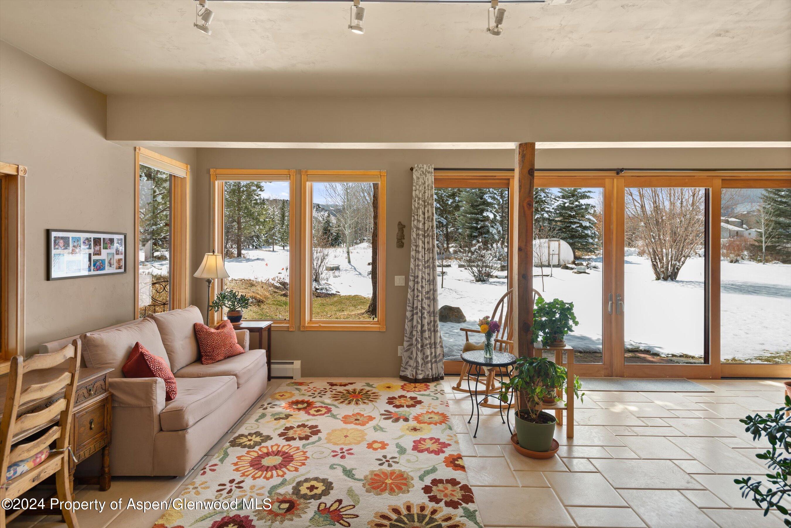 271 Little Elk Creek Avenue Snowmass CO 81654