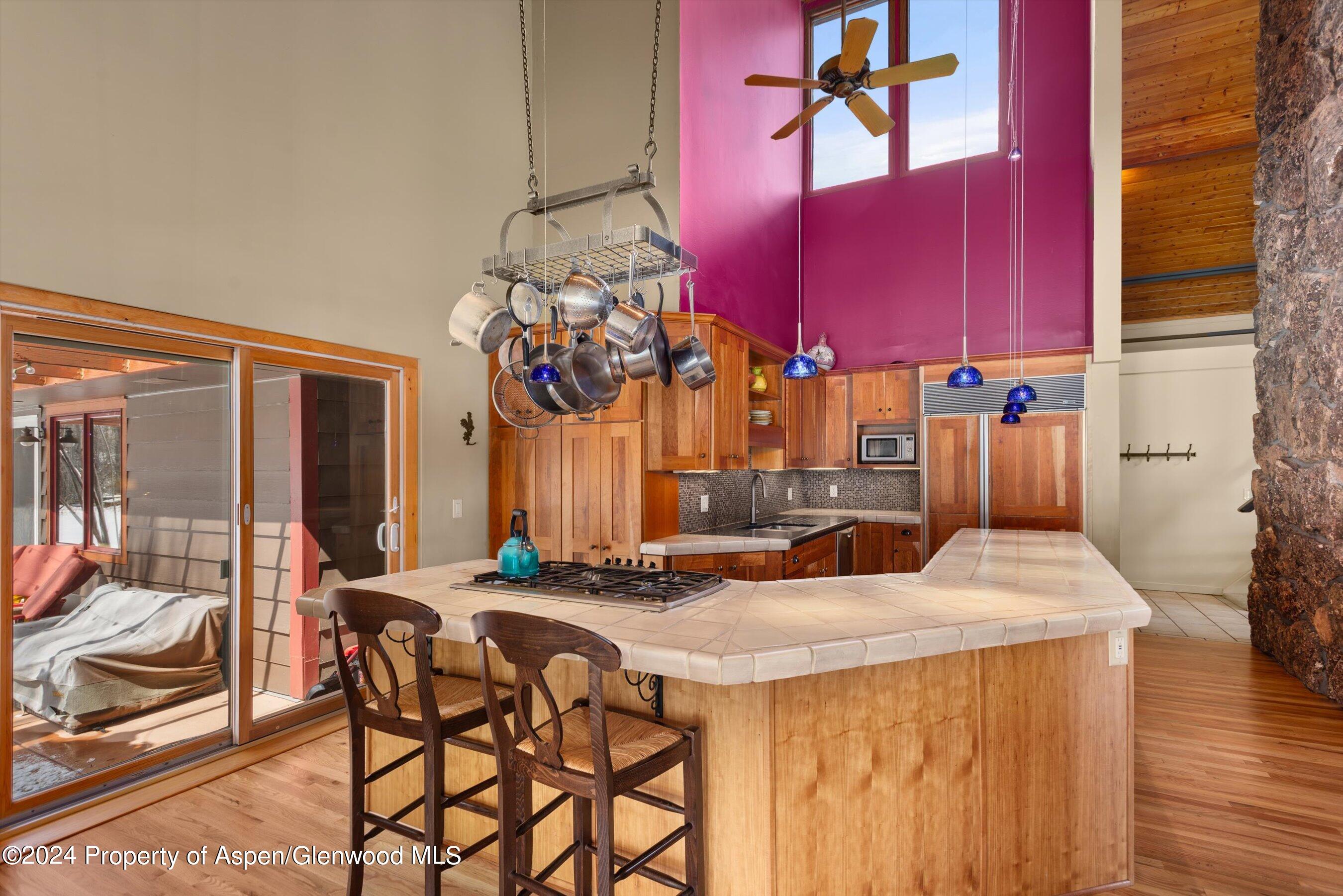 271 Little Elk Creek Avenue Snowmass CO 81654