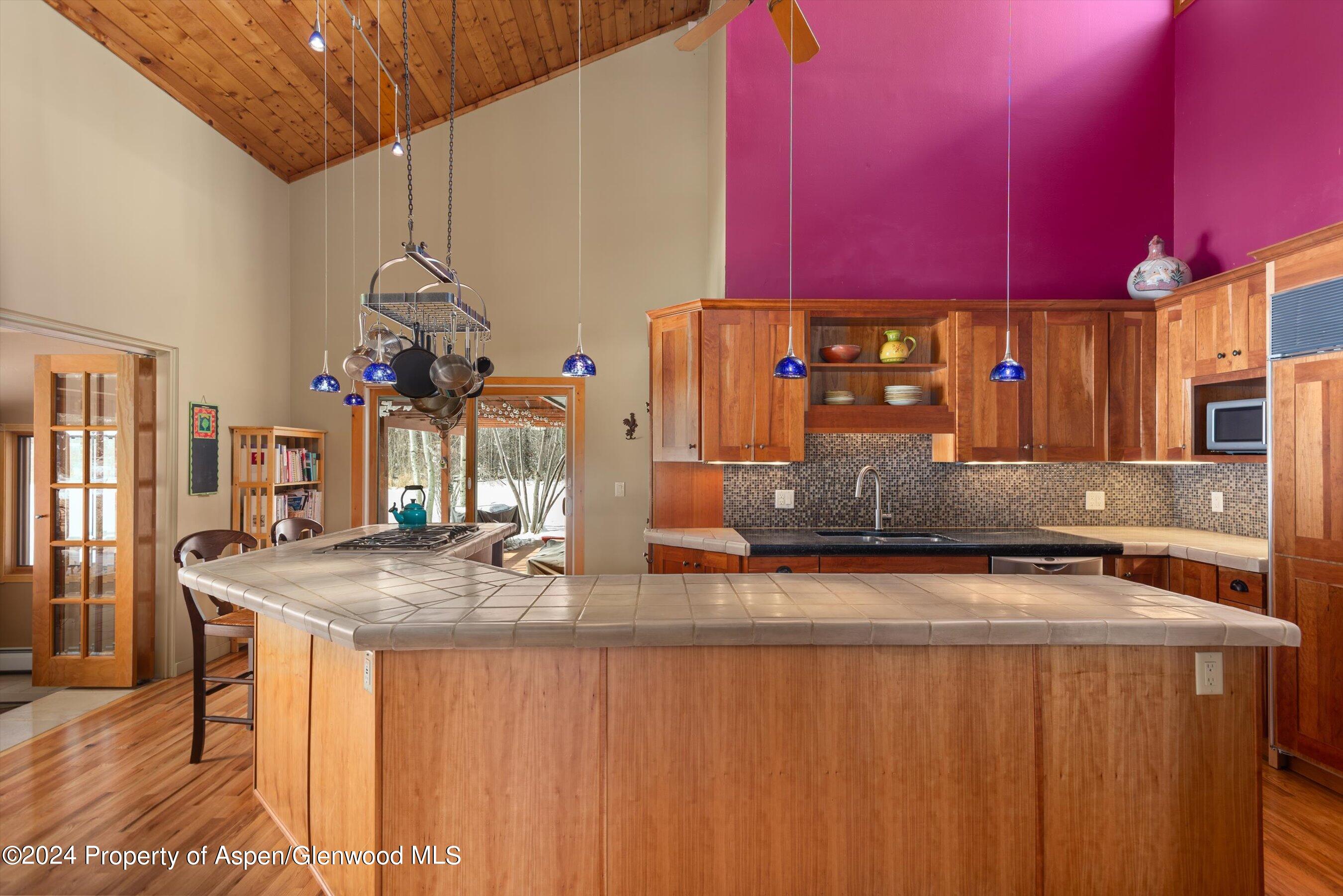 271 Little Elk Creek Avenue Snowmass CO 81654