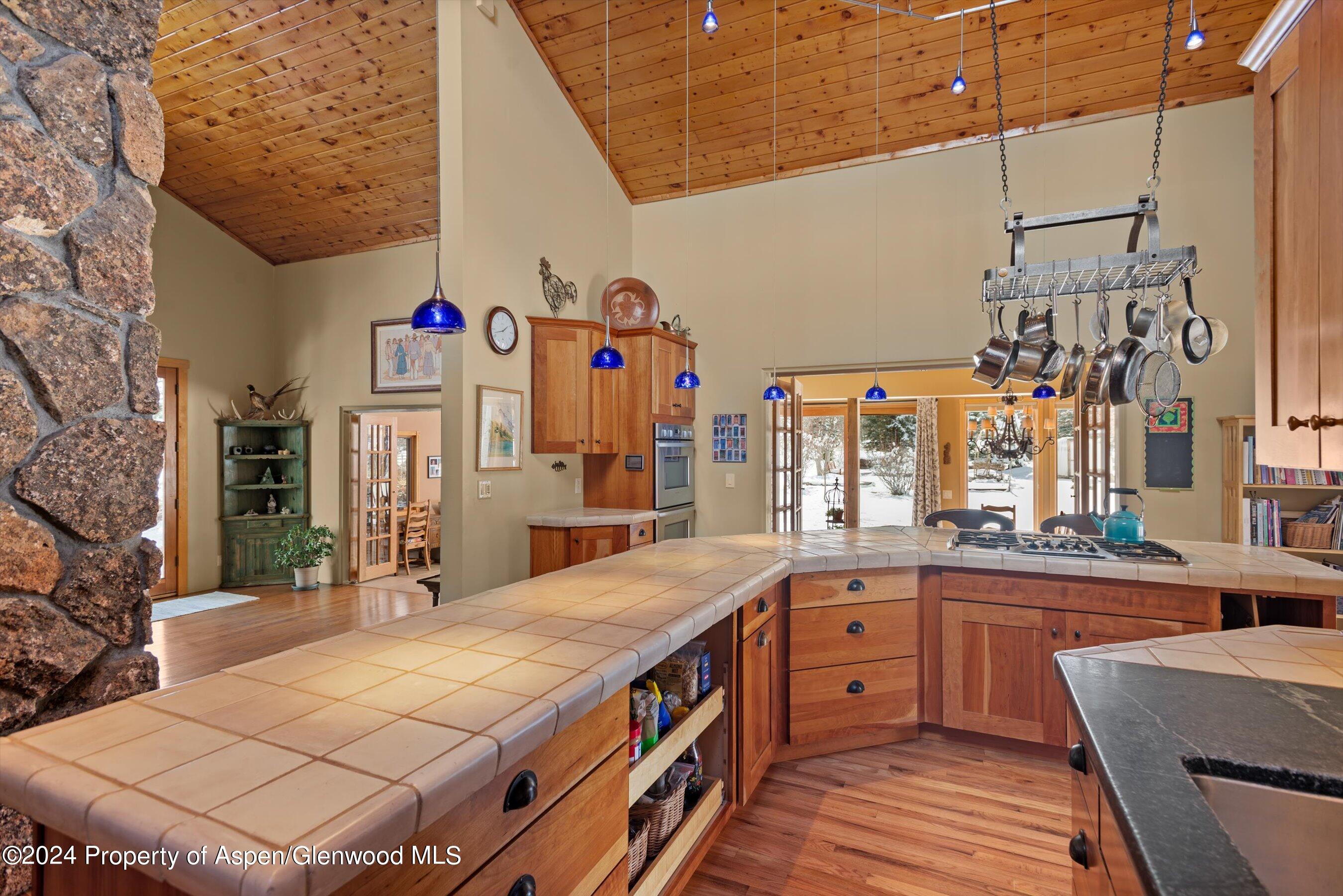 271 Little Elk Creek Avenue Snowmass CO 81654