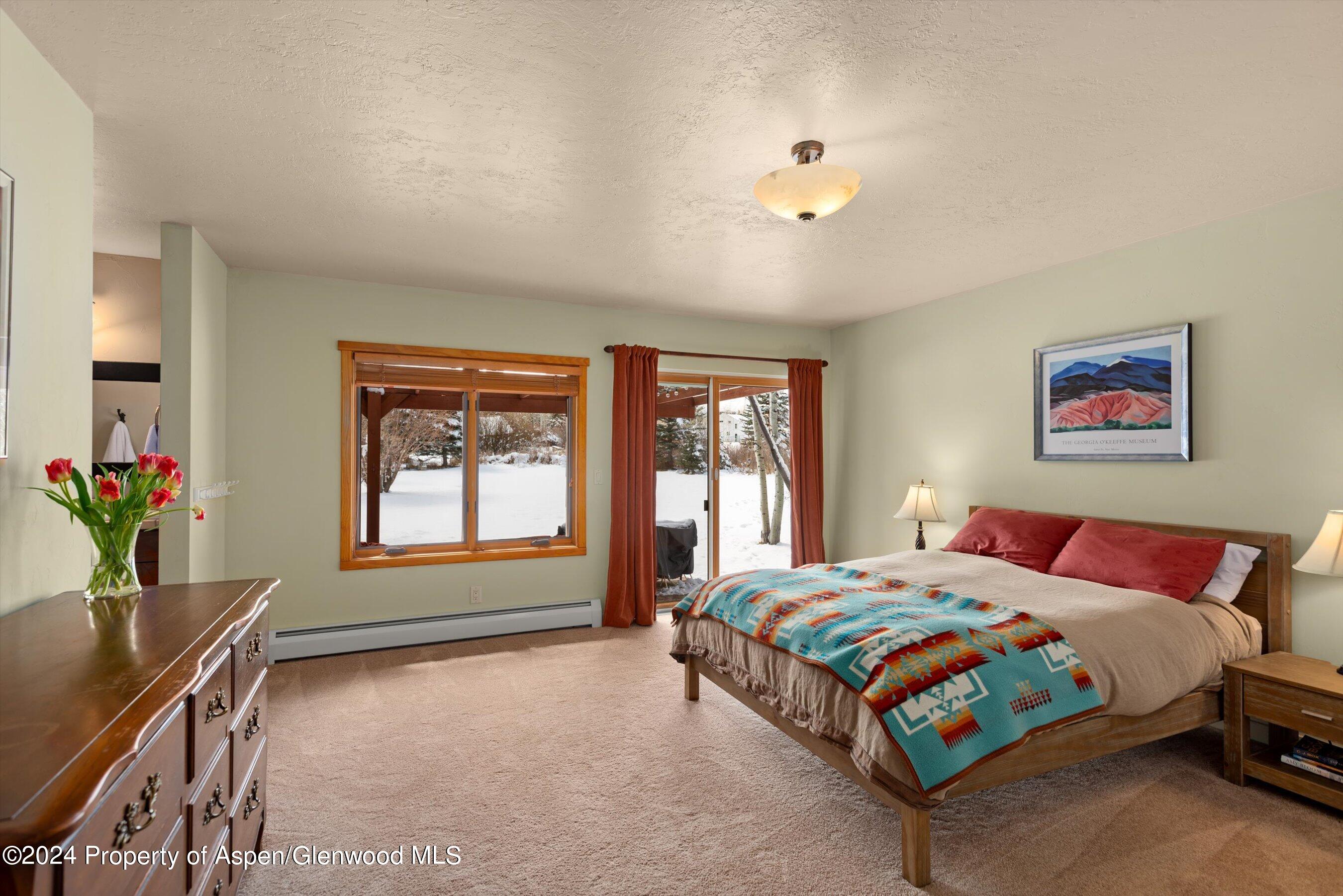271 Little Elk Creek Avenue Snowmass CO 81654