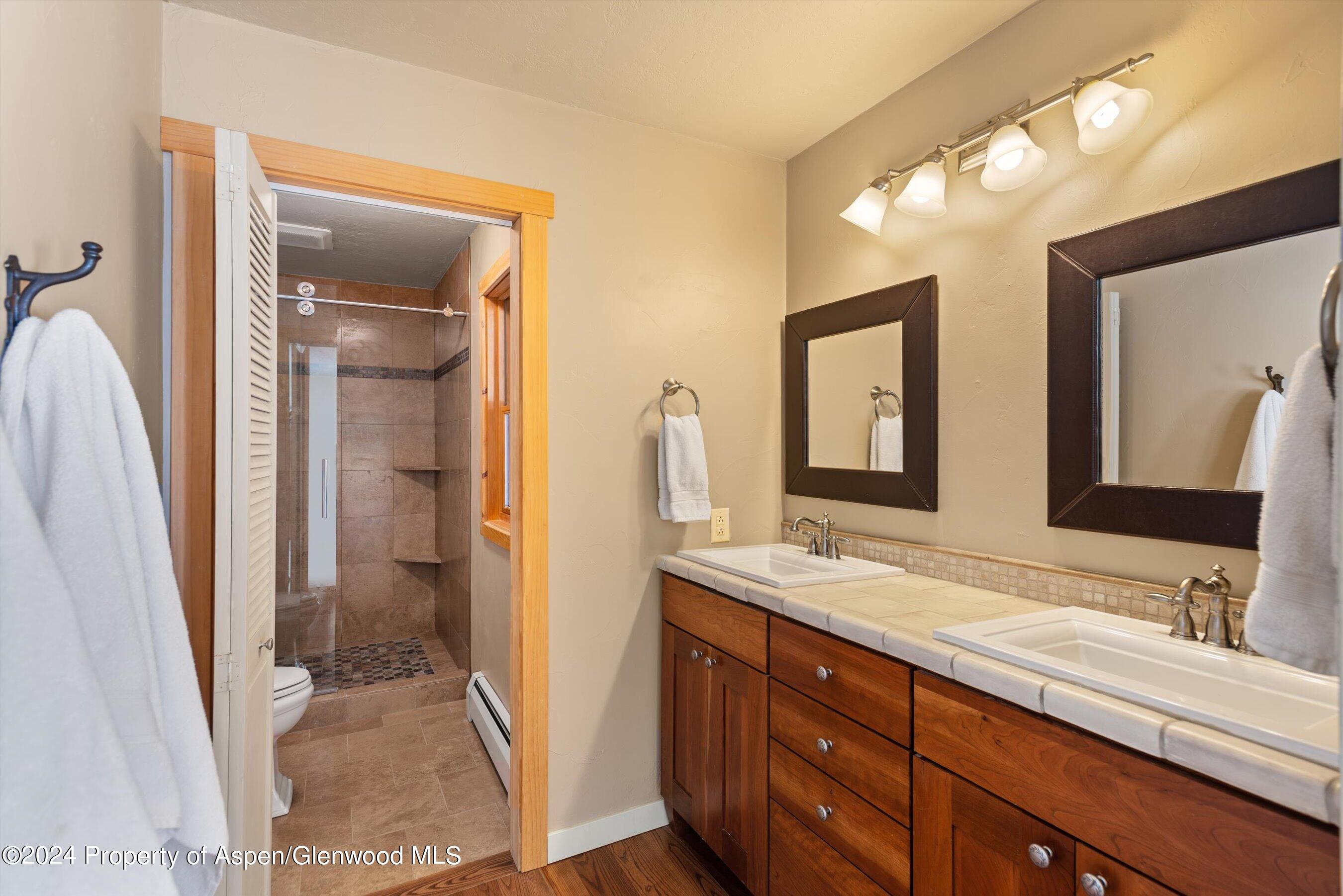 271 Little Elk Creek Avenue Snowmass CO 81654