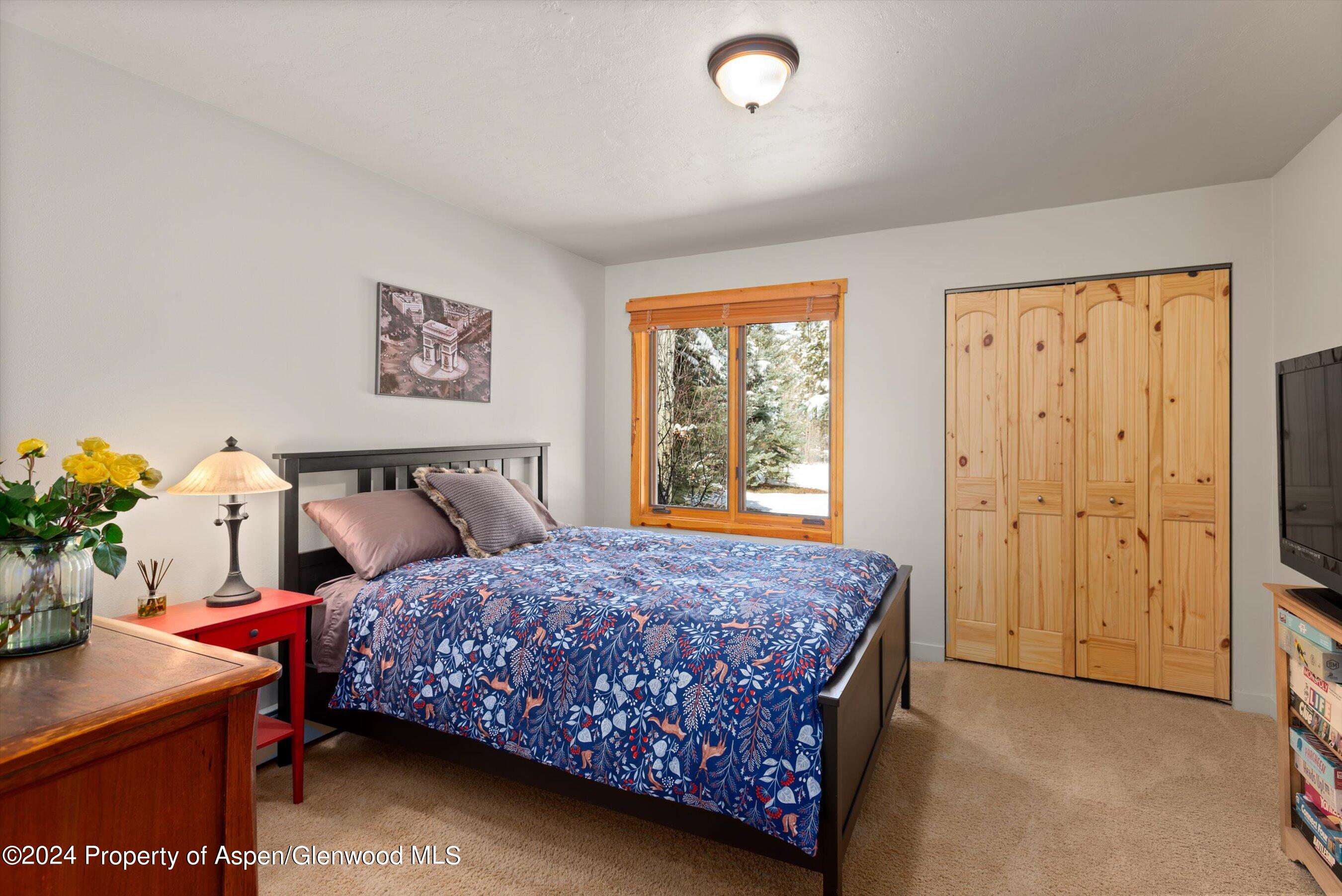 271 Little Elk Creek Avenue Snowmass CO 81654
