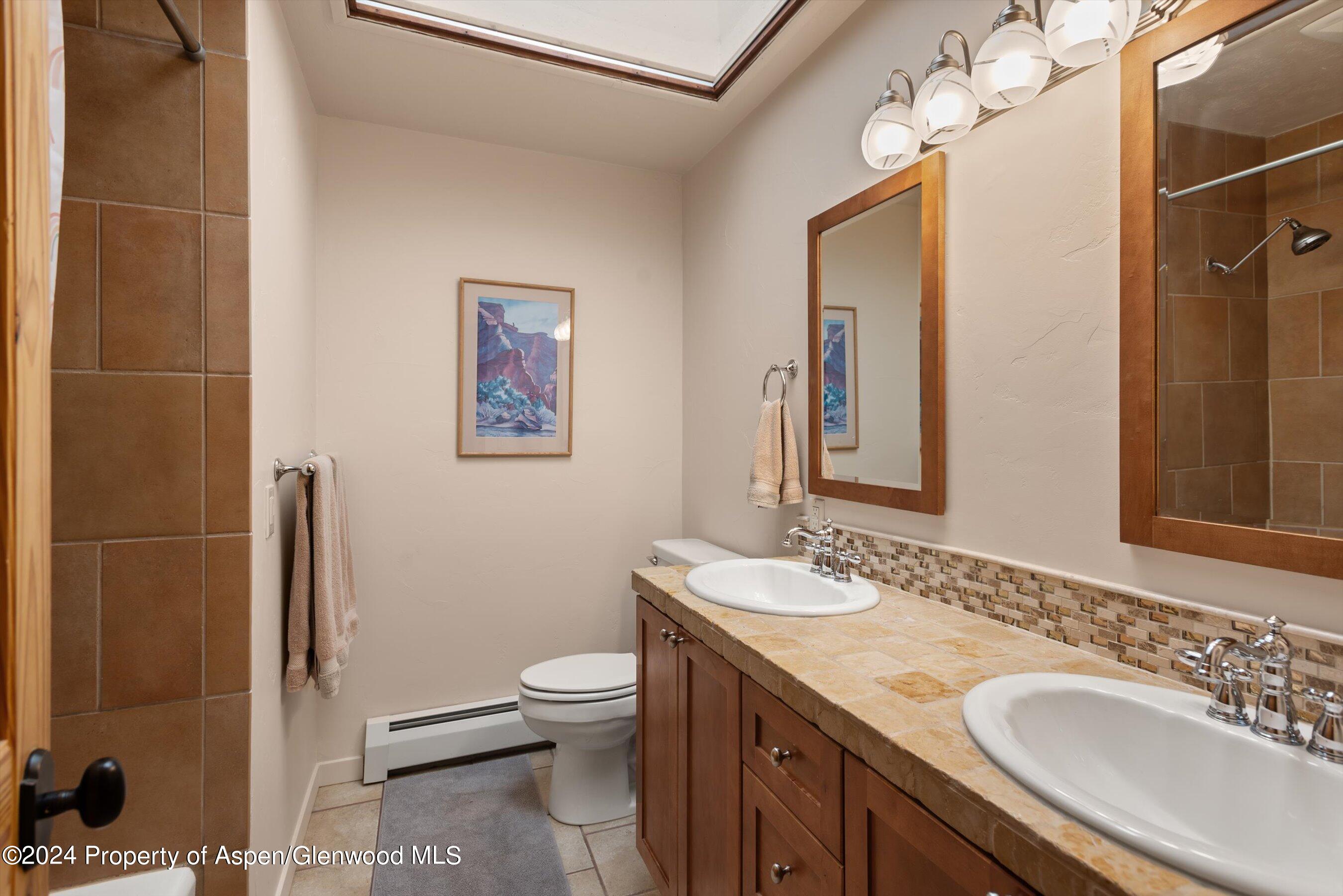 271 Little Elk Creek Avenue Snowmass CO 81654
