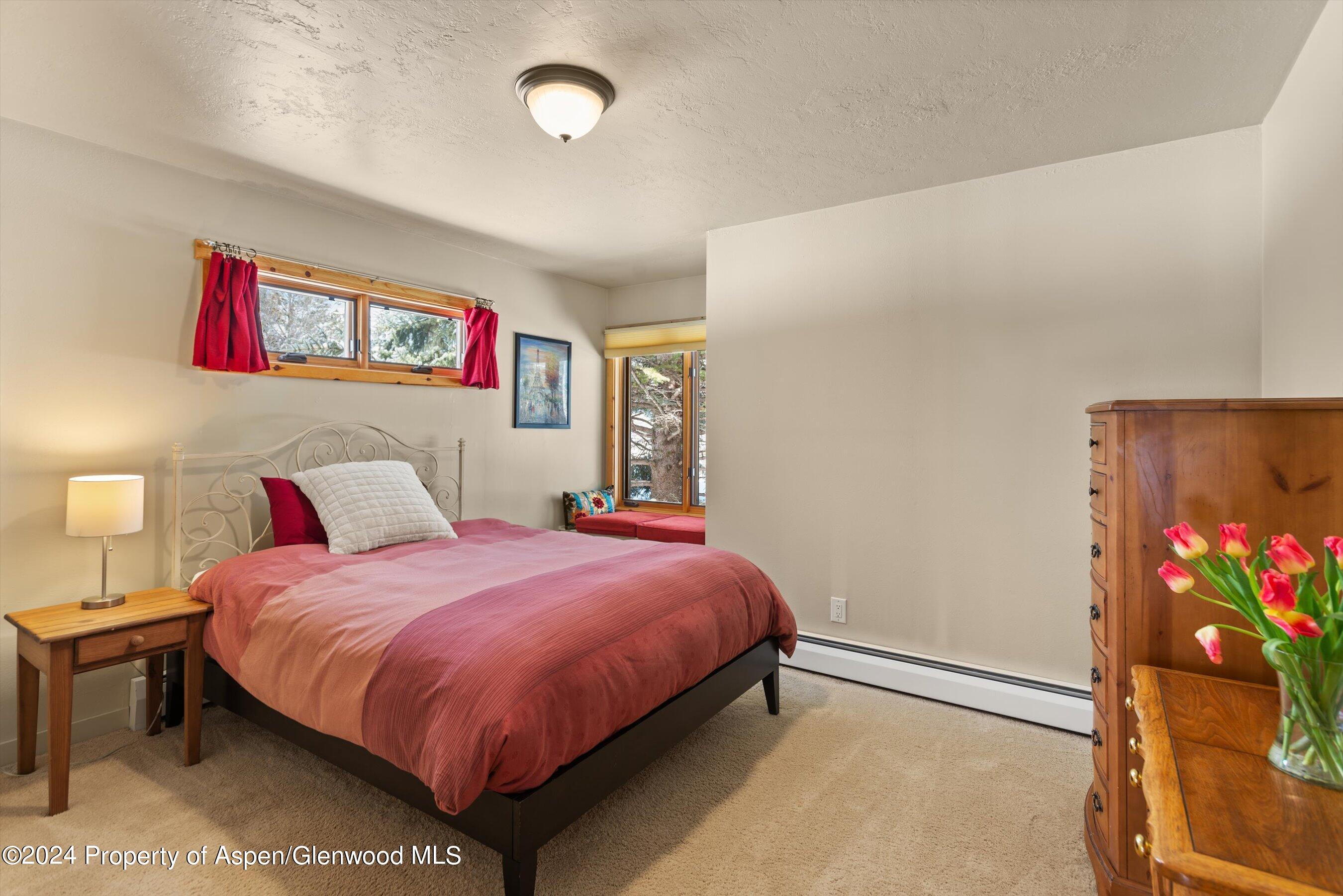 271 Little Elk Creek Avenue Snowmass CO 81654