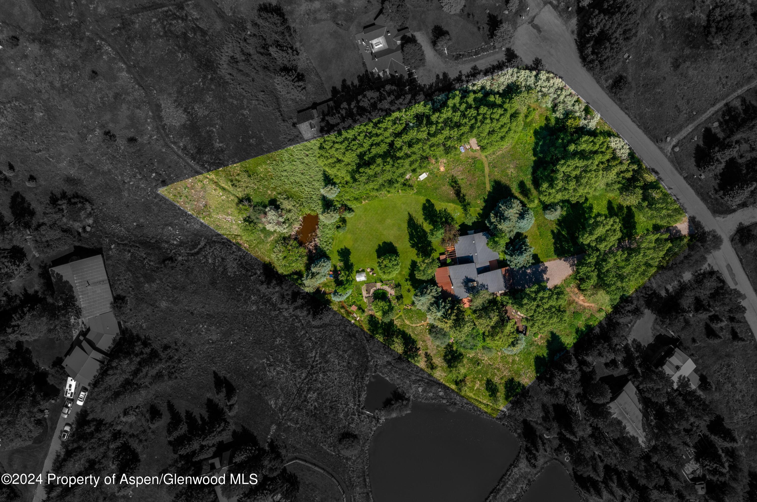 271 Little Elk Creek Avenue Snowmass CO 81654