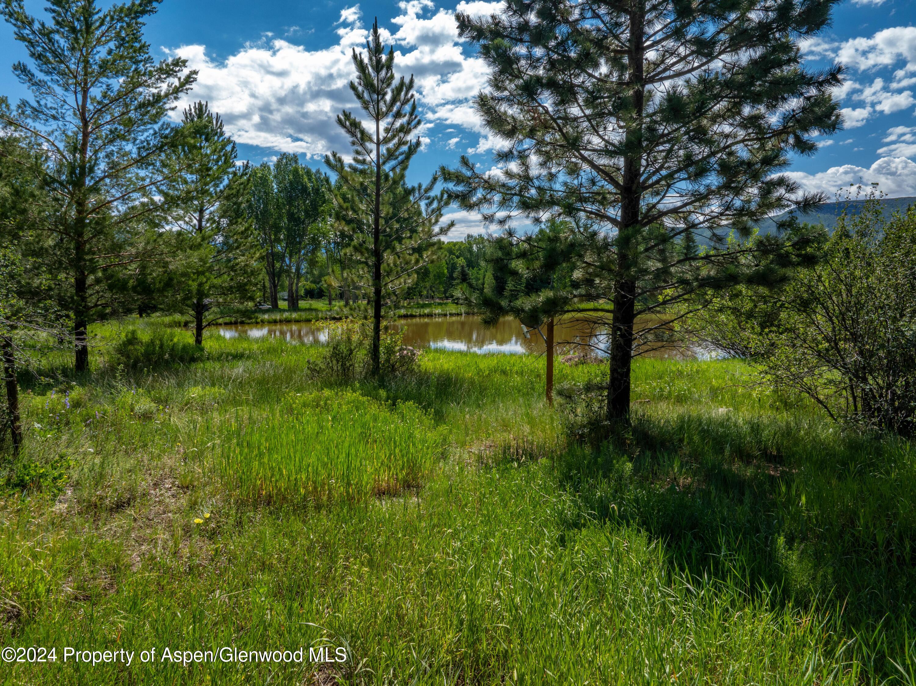 271 Little Elk Creek Avenue Snowmass CO 81654