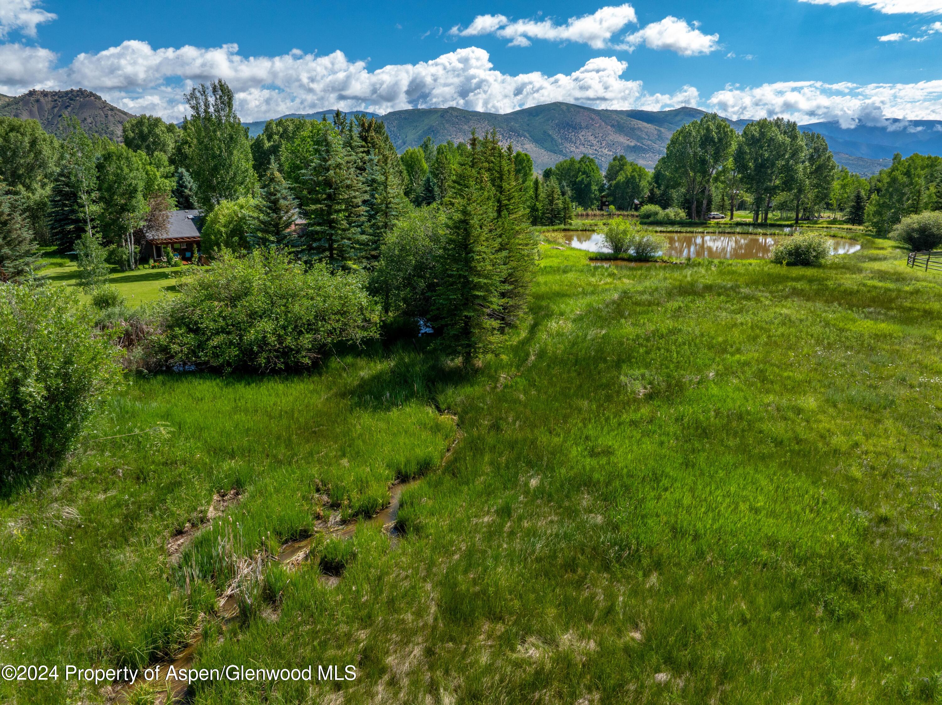 271 Little Elk Creek Avenue Snowmass CO 81654