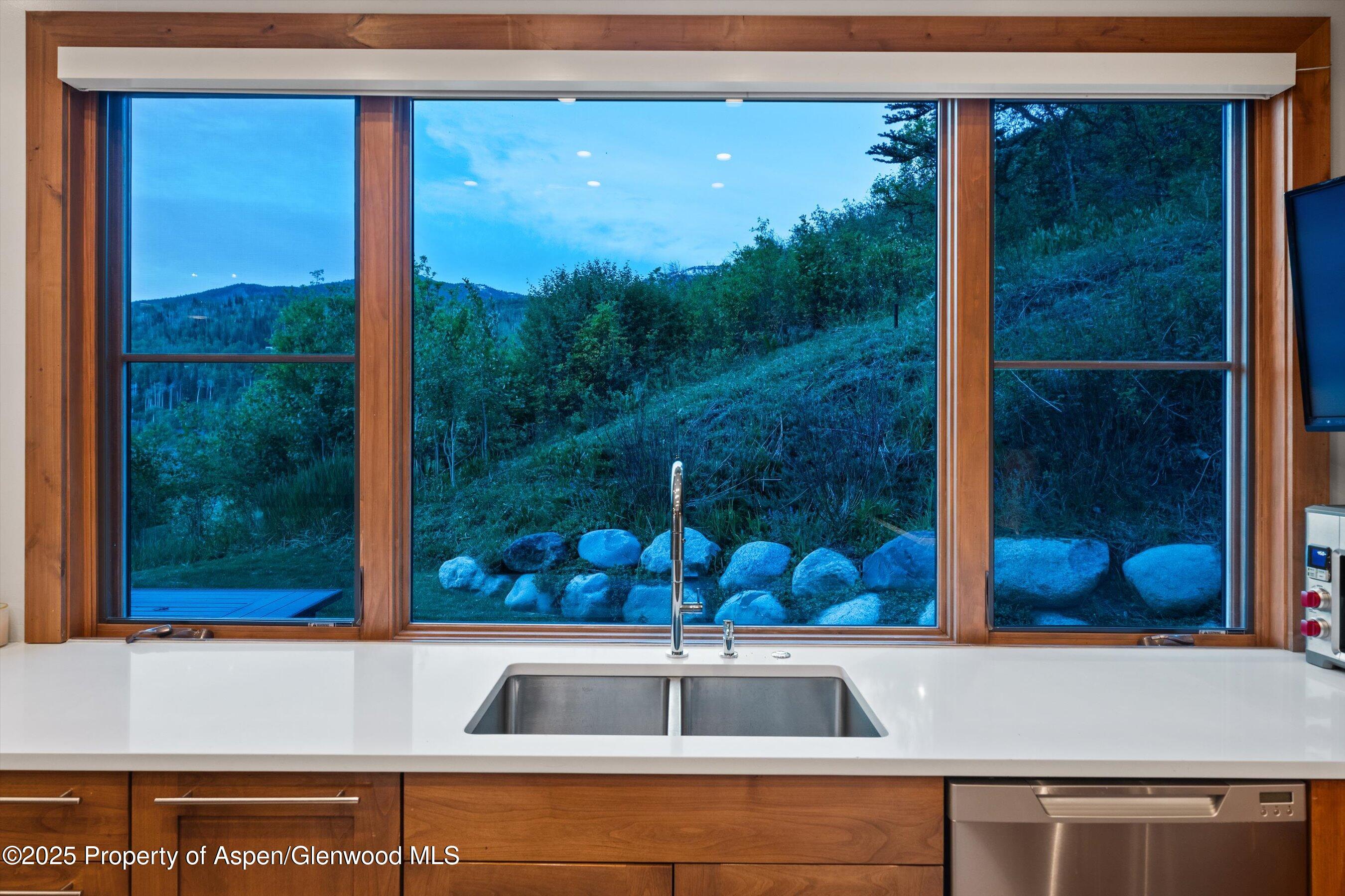 238 Terrace Drive Snowmass Village CO 81615