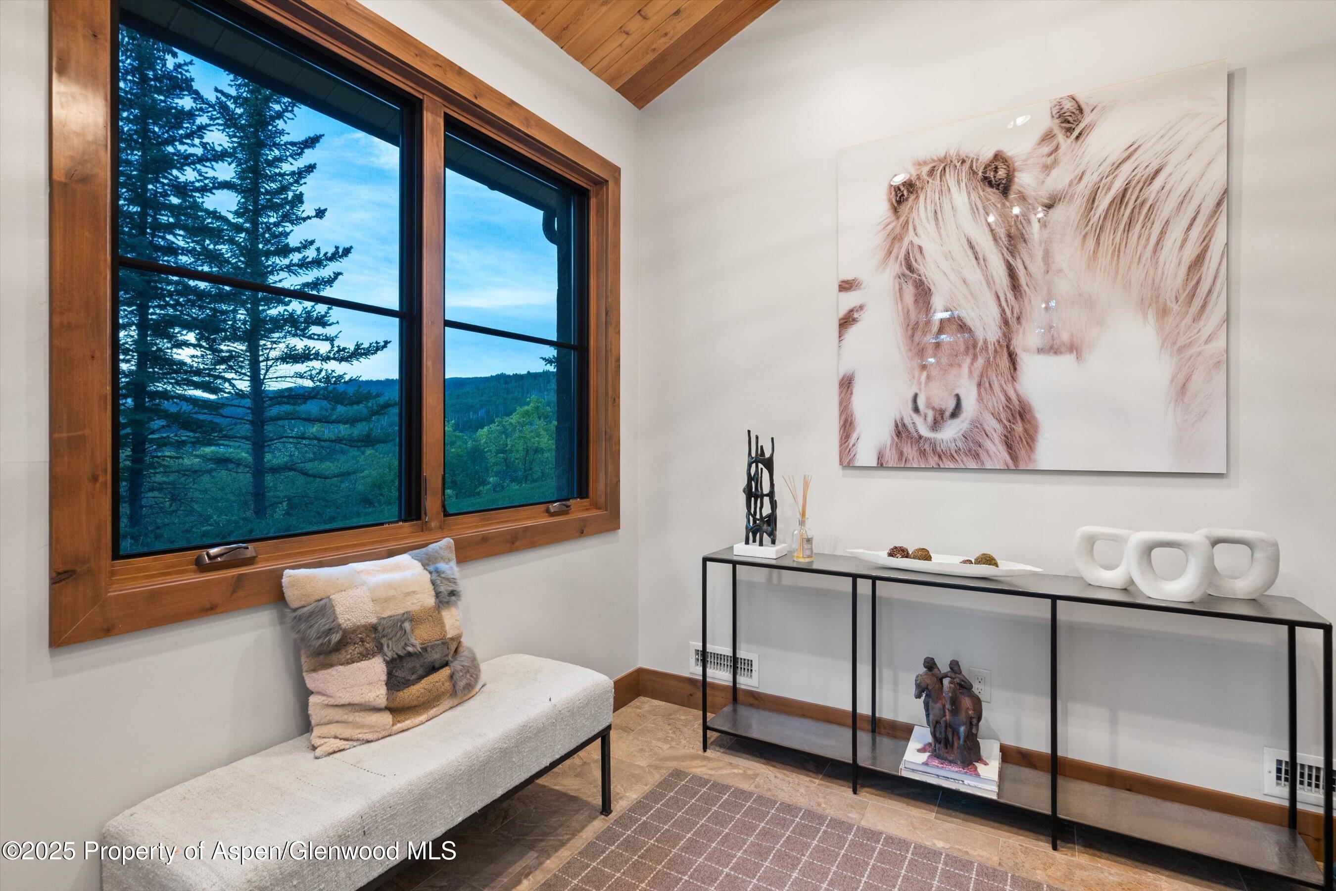 238 Terrace Drive Snowmass Village CO 81615