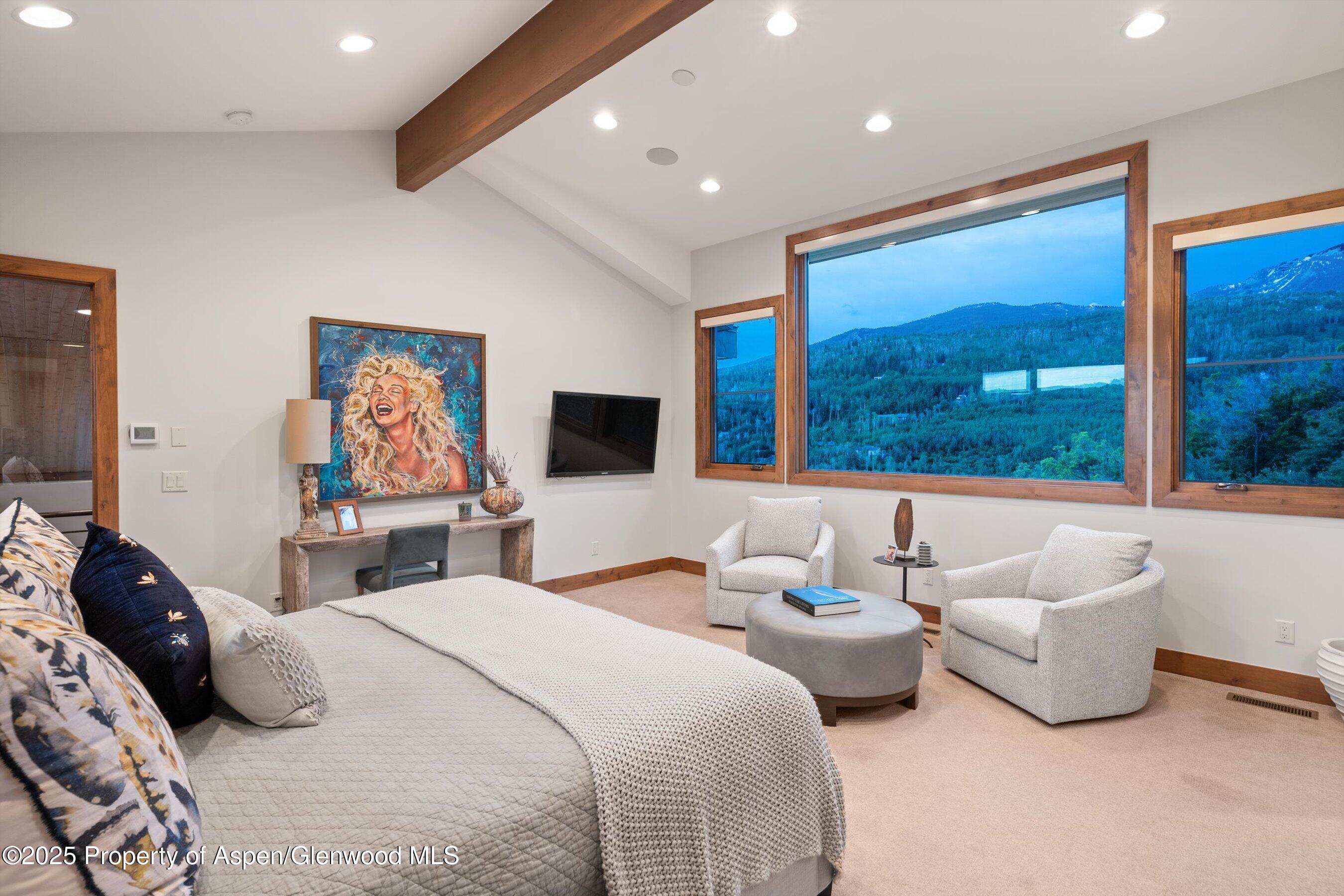 238 Terrace Drive Snowmass Village CO 81615